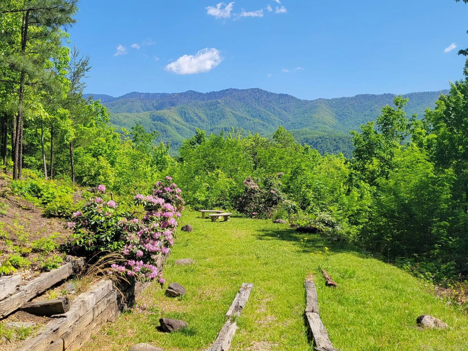 Garden in Real Log Cabin With Amazing Views, Hot Tub, Sauna, Games