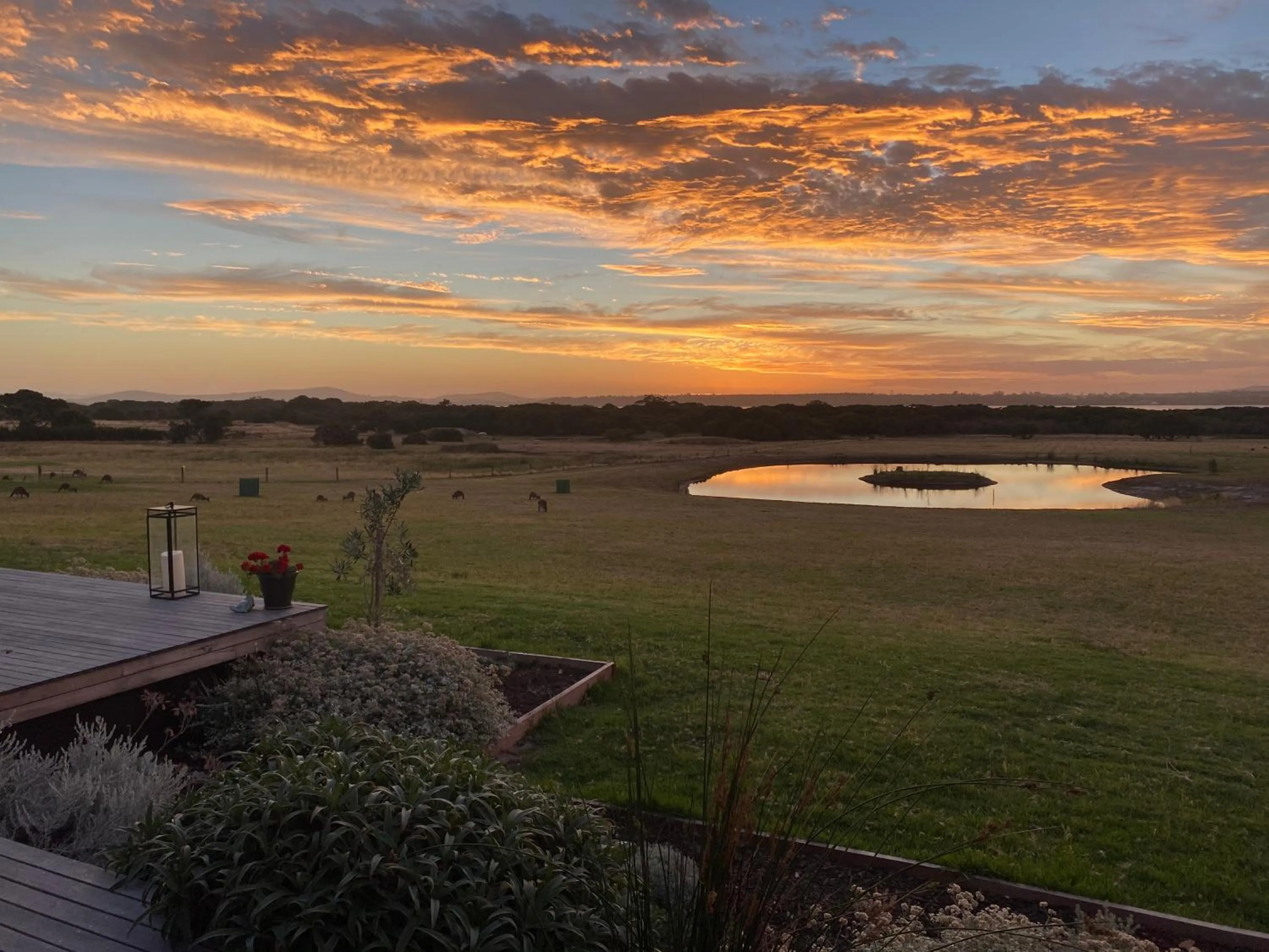 Garden in Majuba Country Lodge