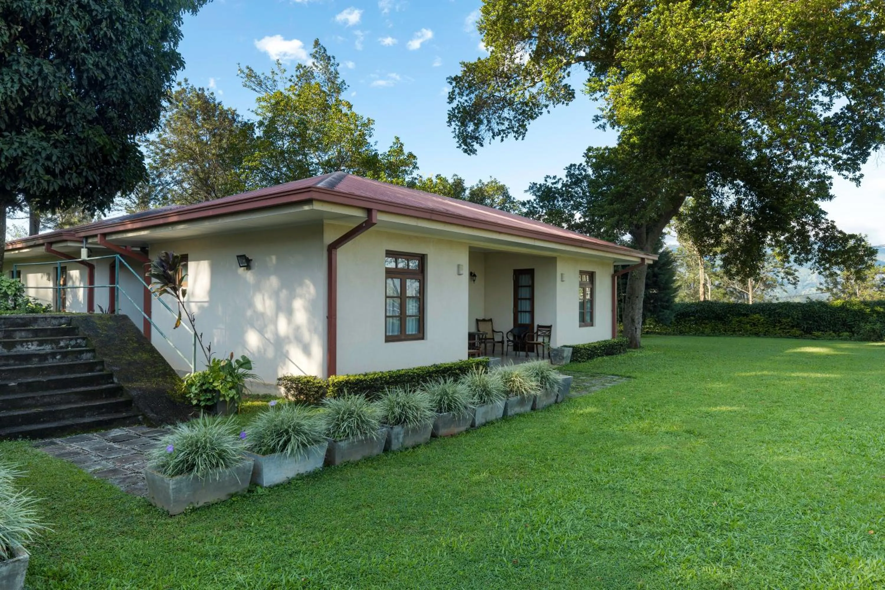 Property building in Olive Bungalow