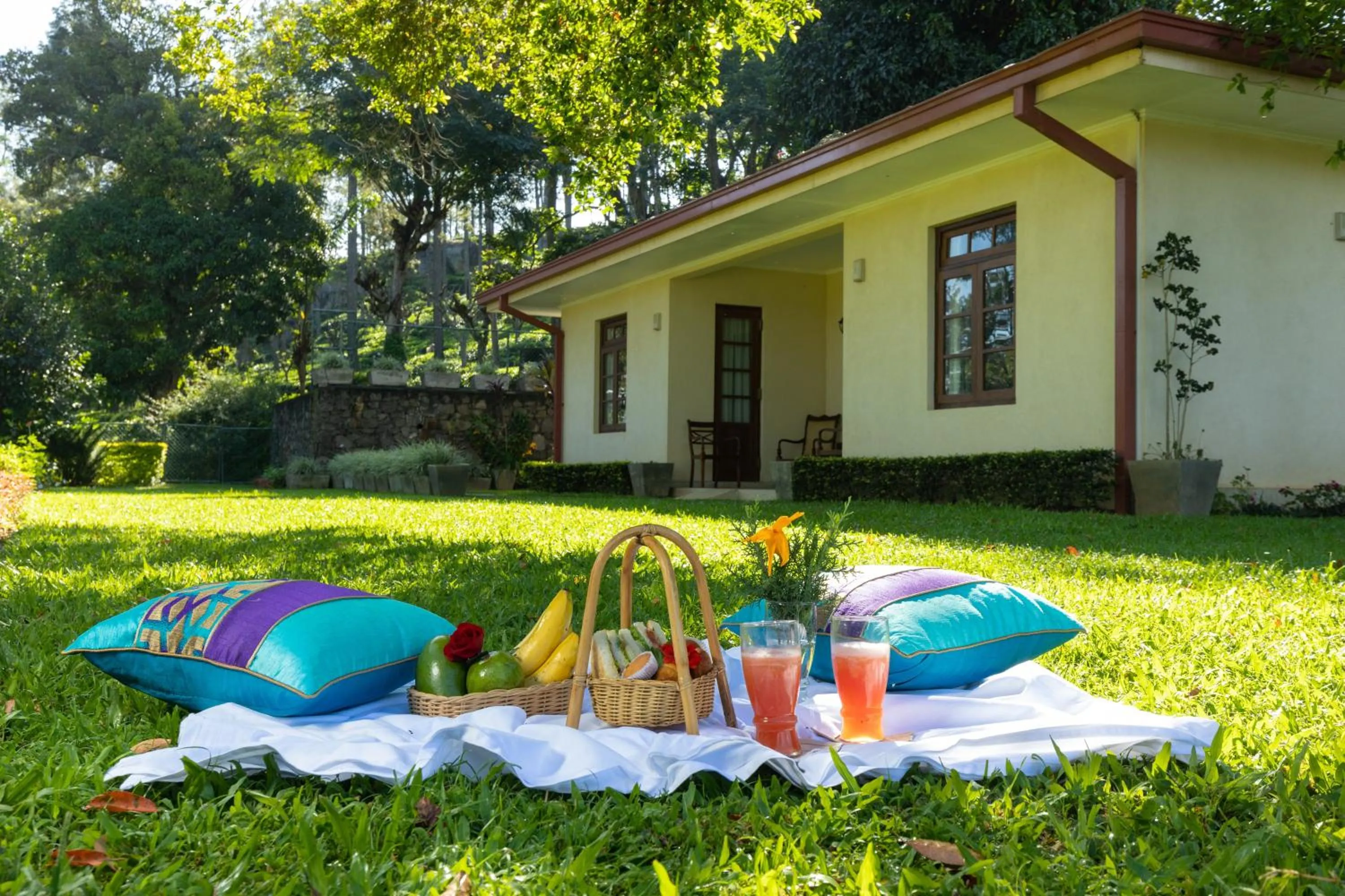 Breakfast in Olive Bungalow