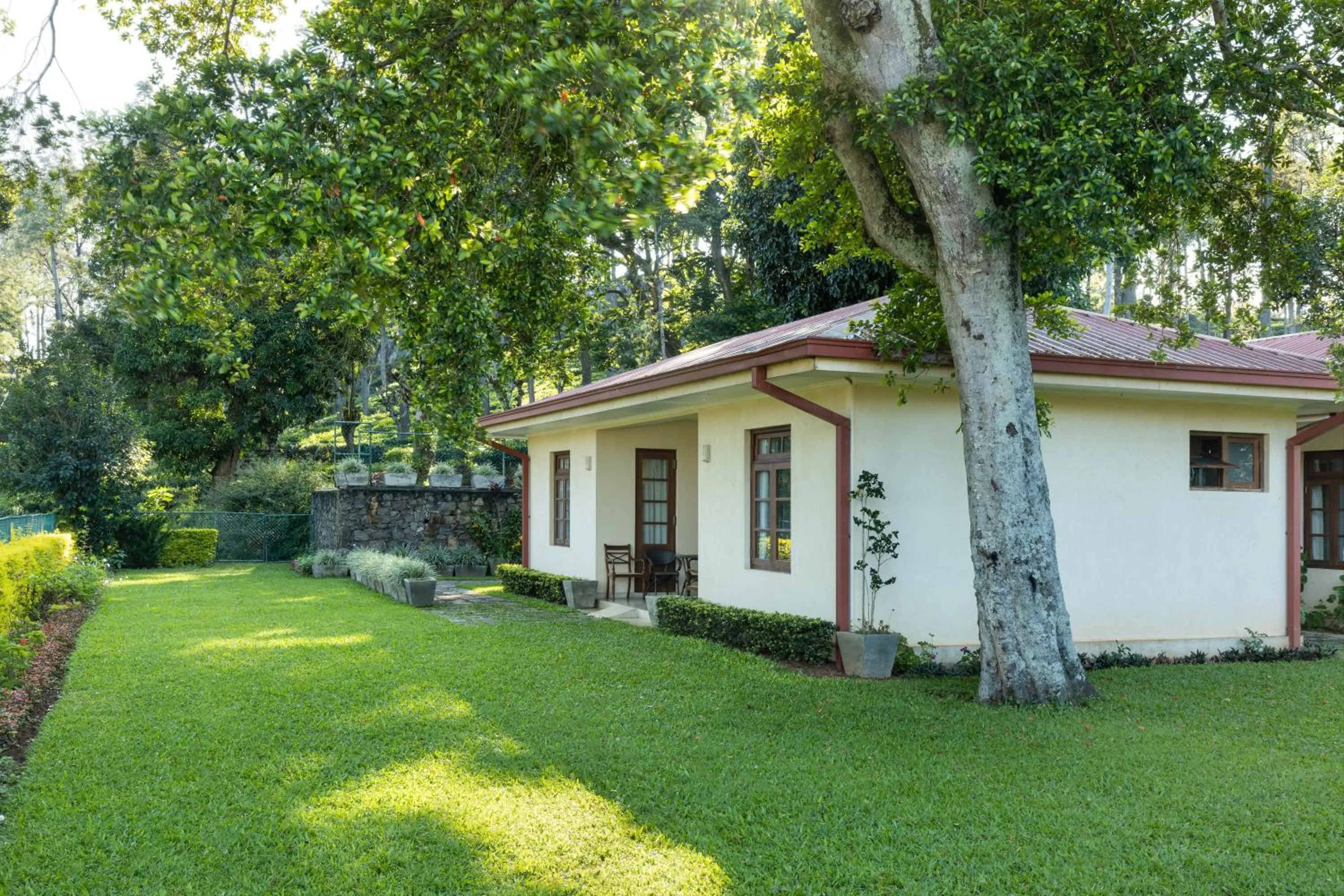 Property building in Olive Bungalow