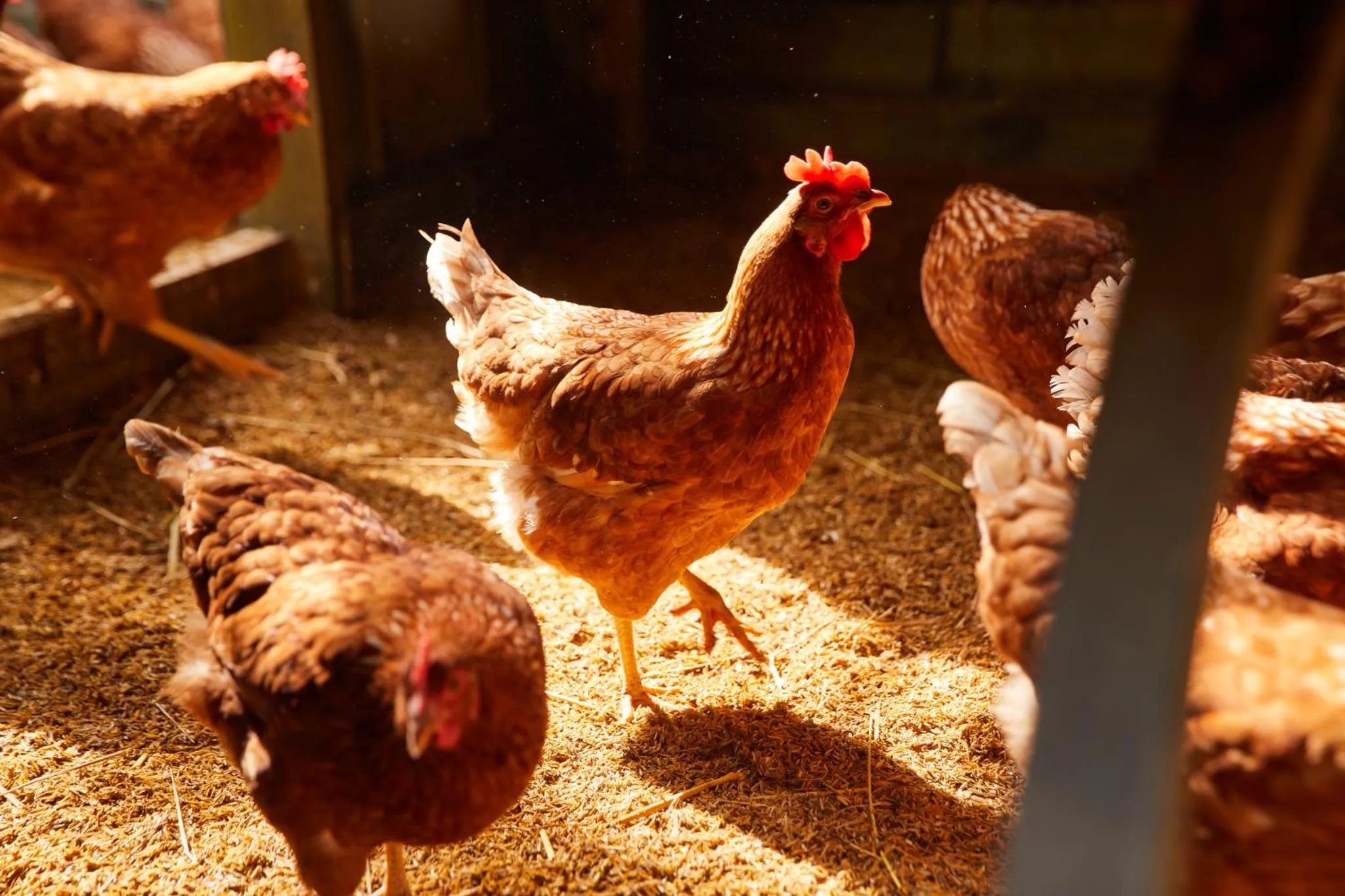 Family in LA COCOTTE VILLA & FARM KHAO YAI