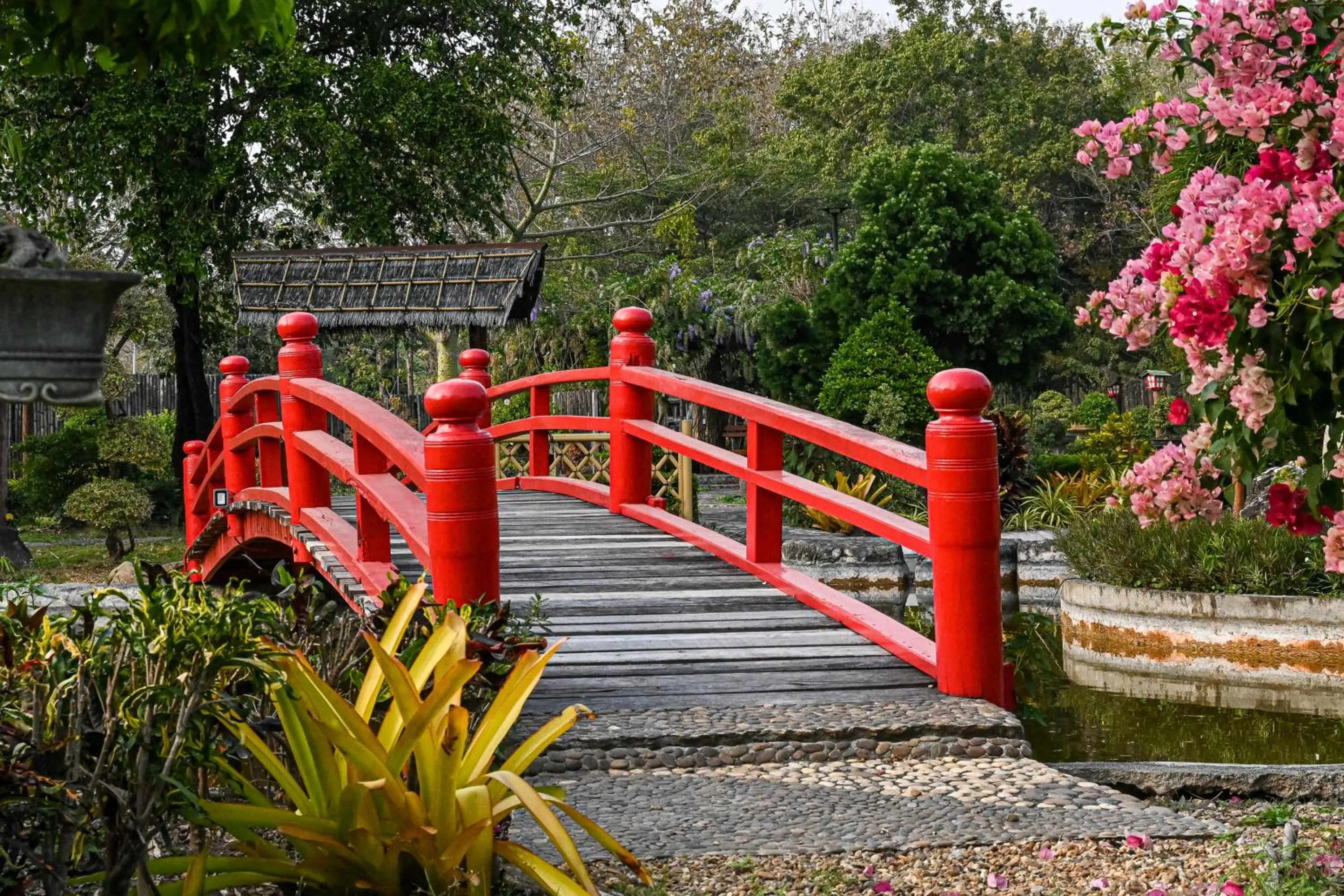 Property building in Suanphung Bonsai Village