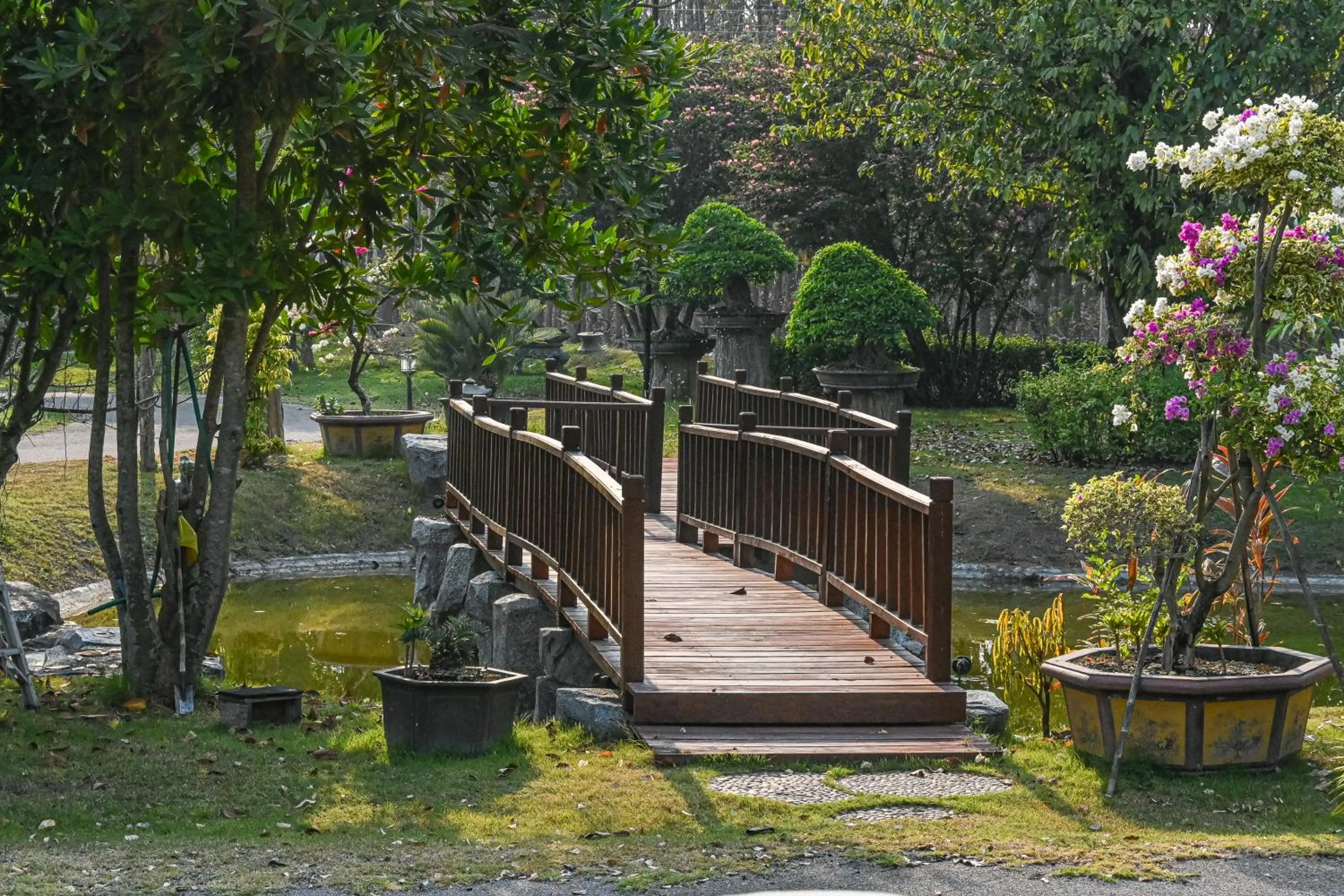 Garden in Suanphung Bonsai Village