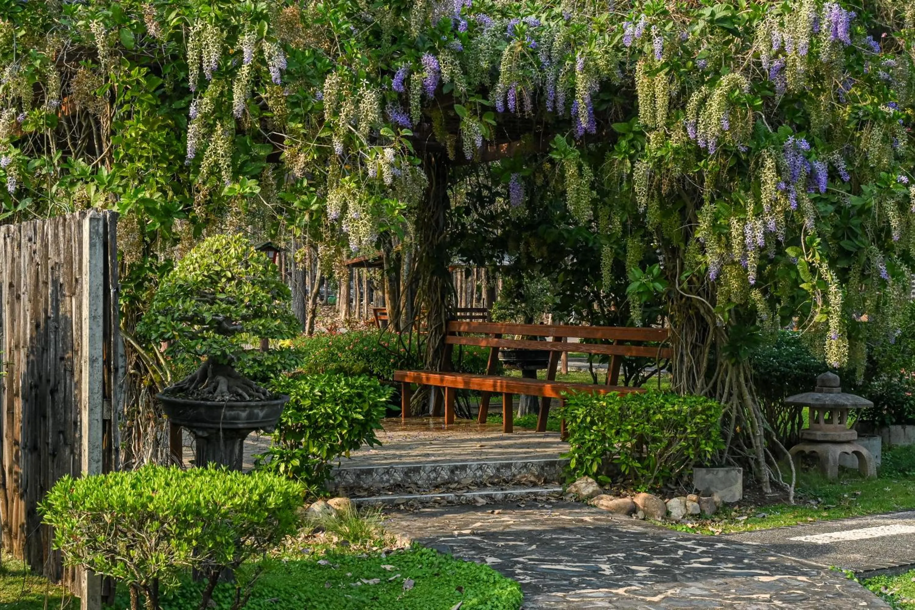 Garden in Suanphung Bonsai Village