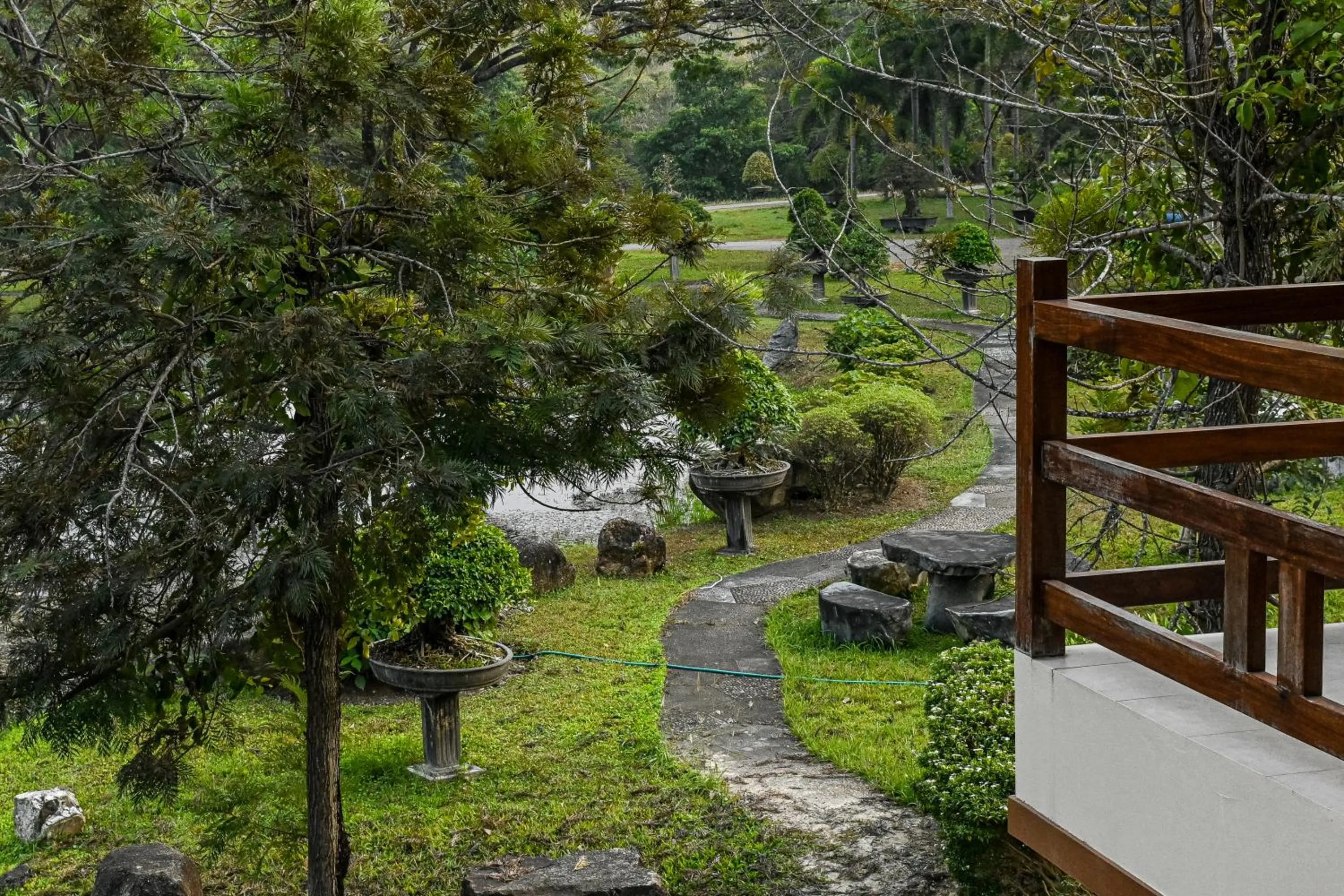 Garden in Suanphung Bonsai Village