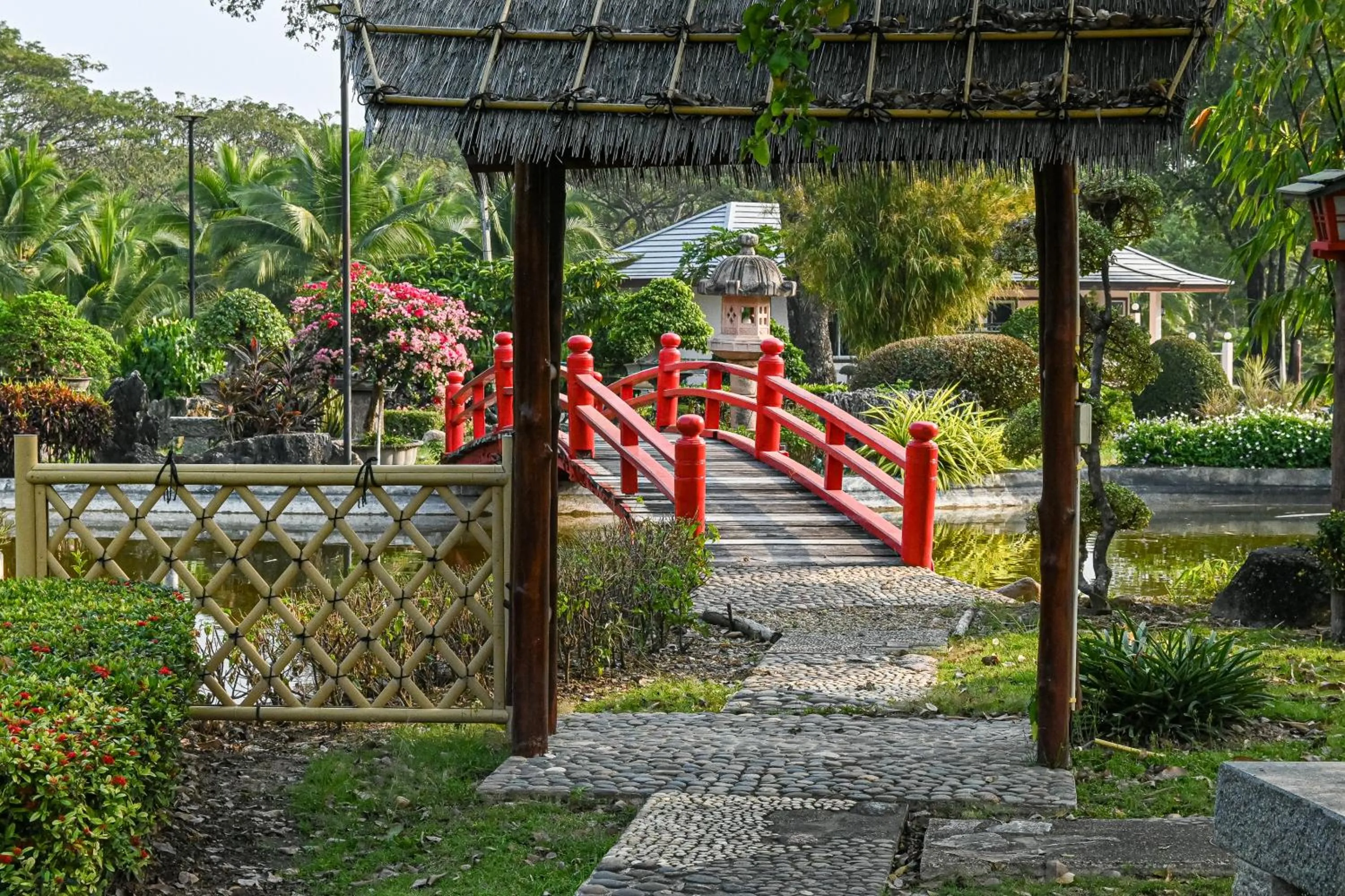 Day in Suanphung Bonsai Village