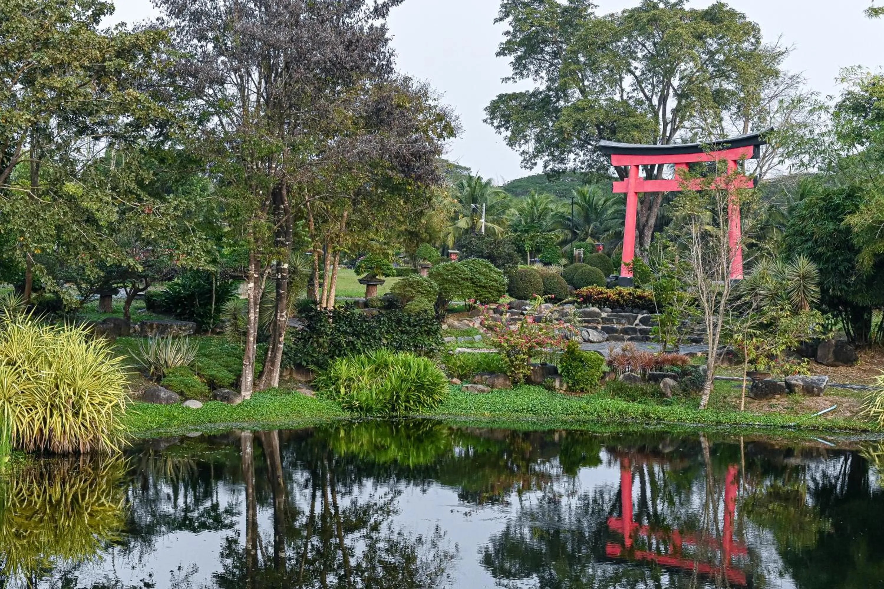 Garden in Suanphung Bonsai Village