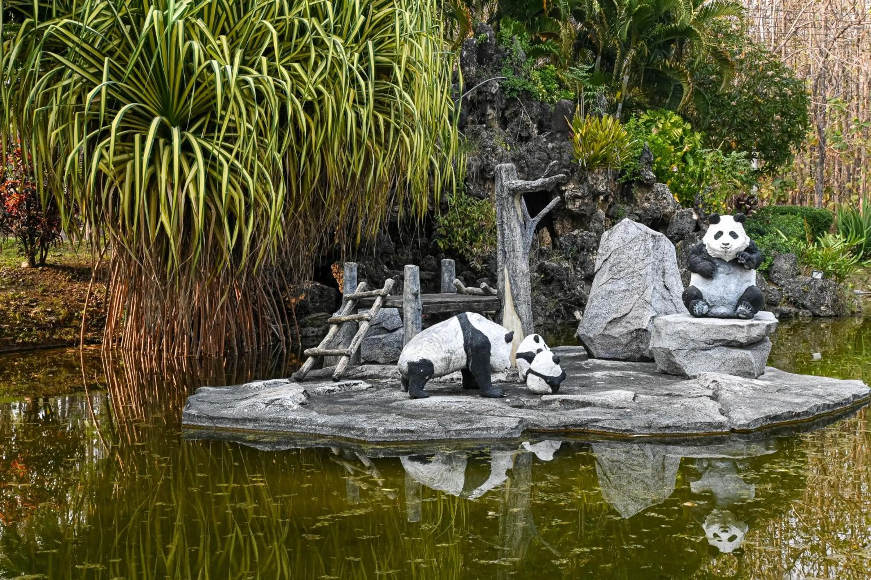 Day in Suanphung Bonsai Village