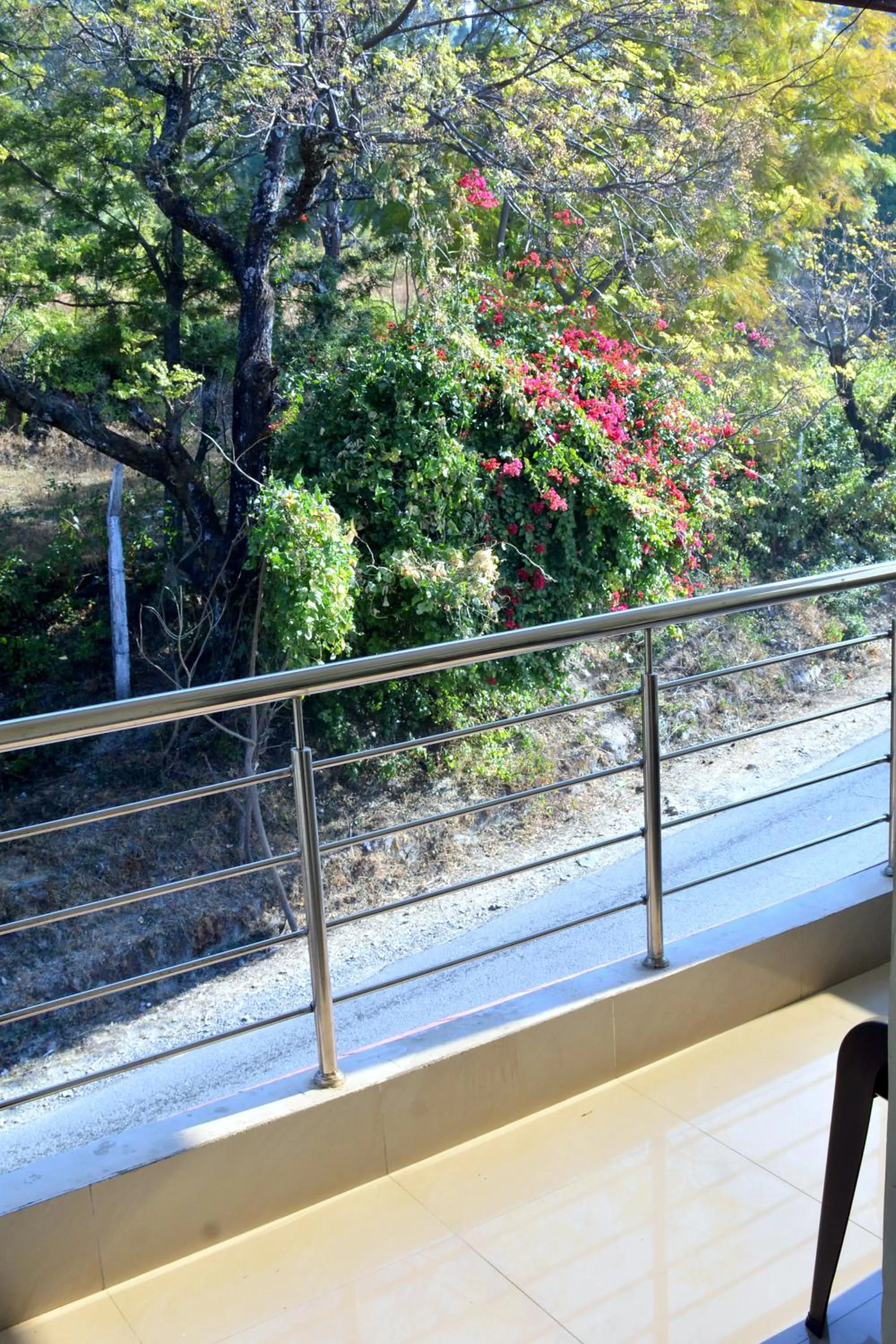 View (from property/room) in Nature Hike