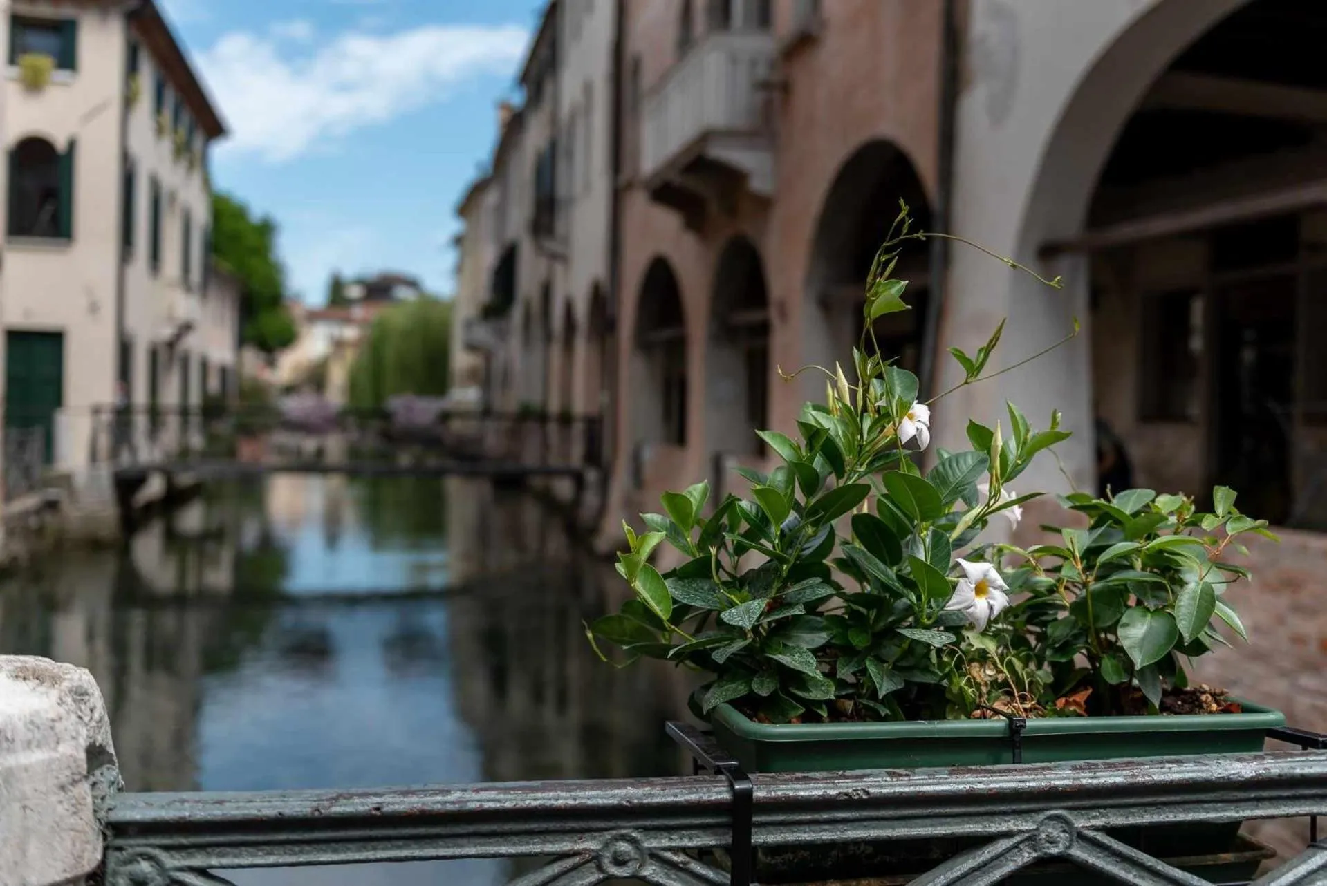 River view in Buranelli Charme Rooms