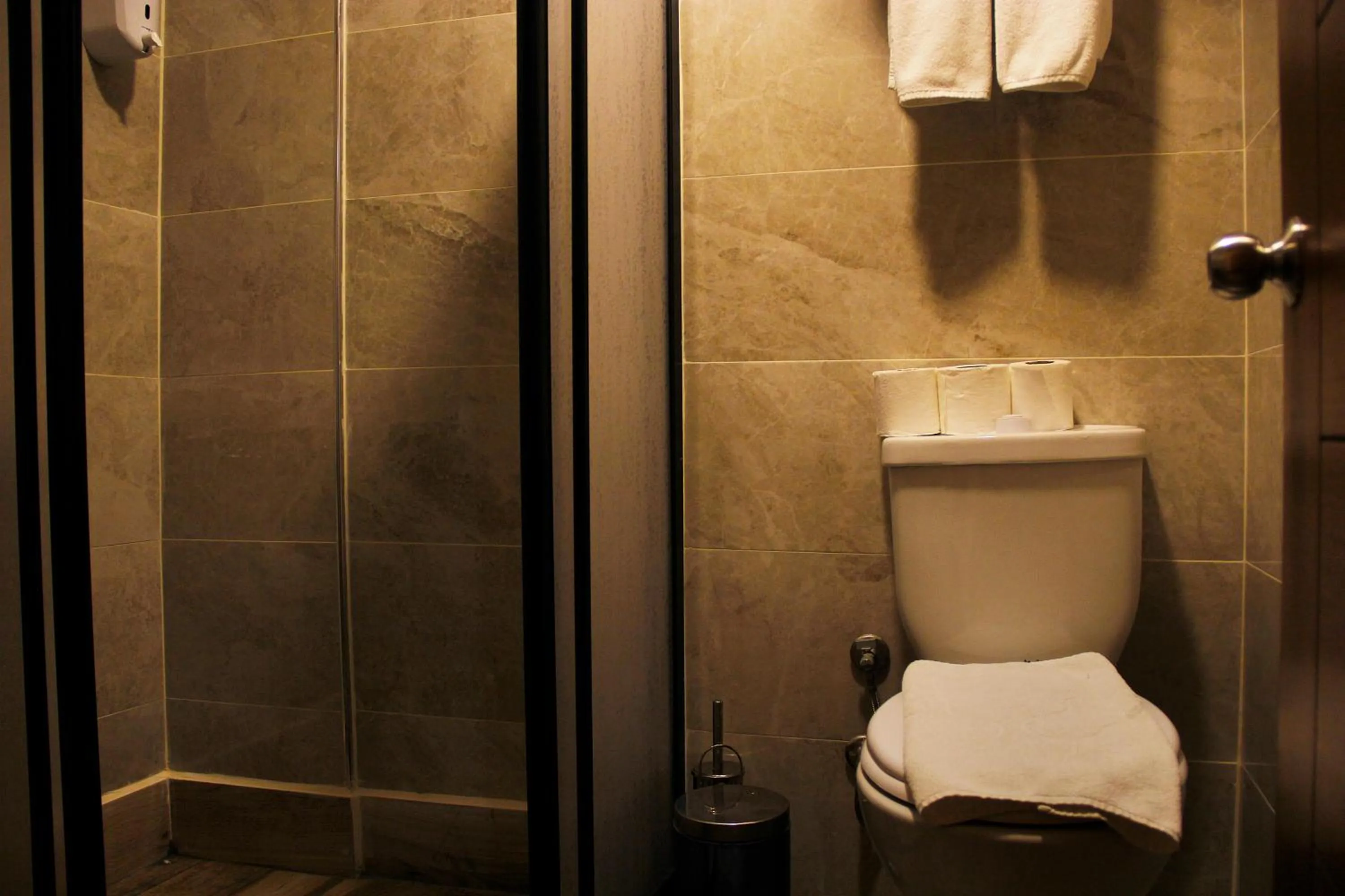 Toilet in GROSS HOTEL