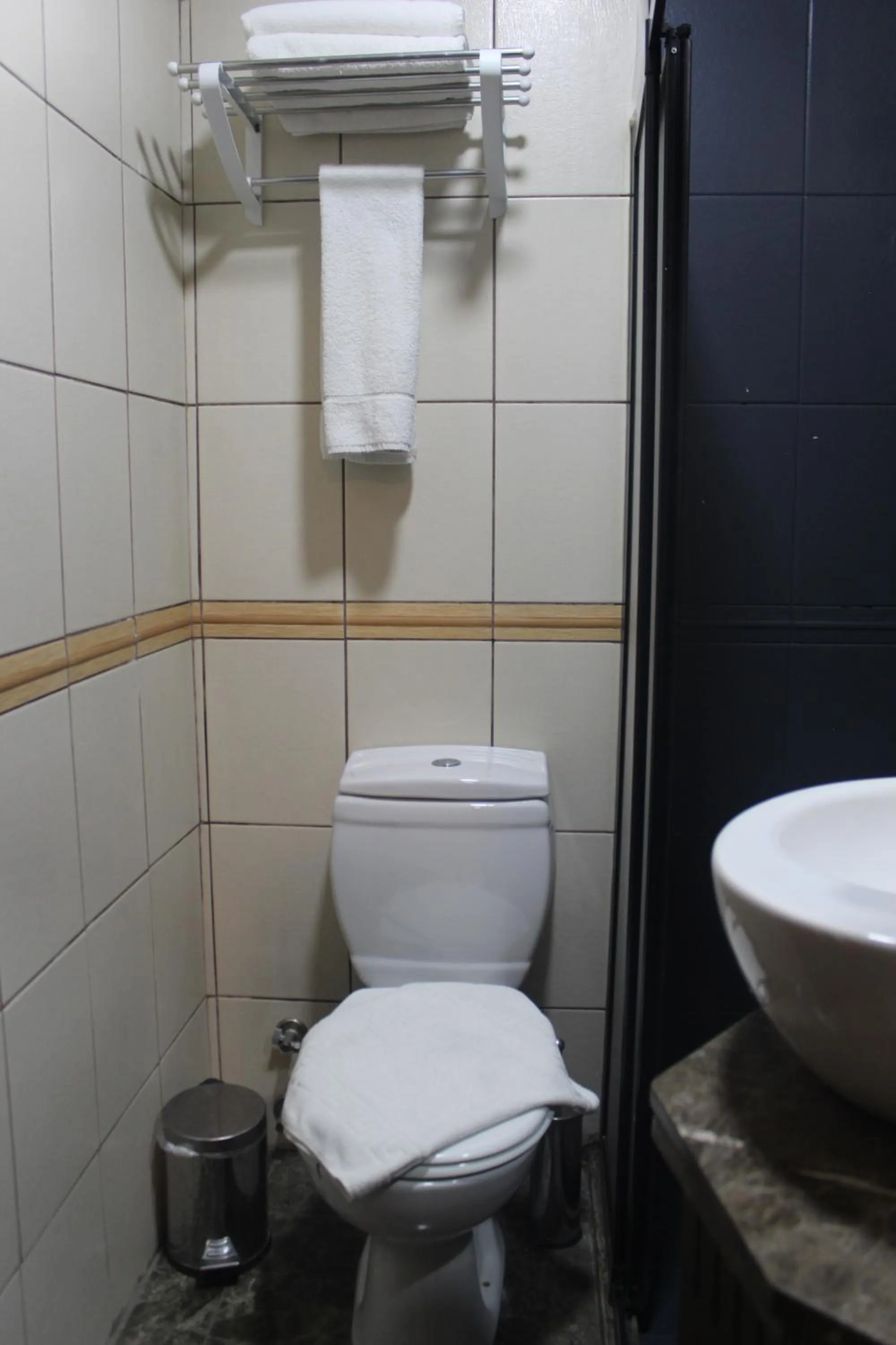 Toilet in GROSS HOTEL