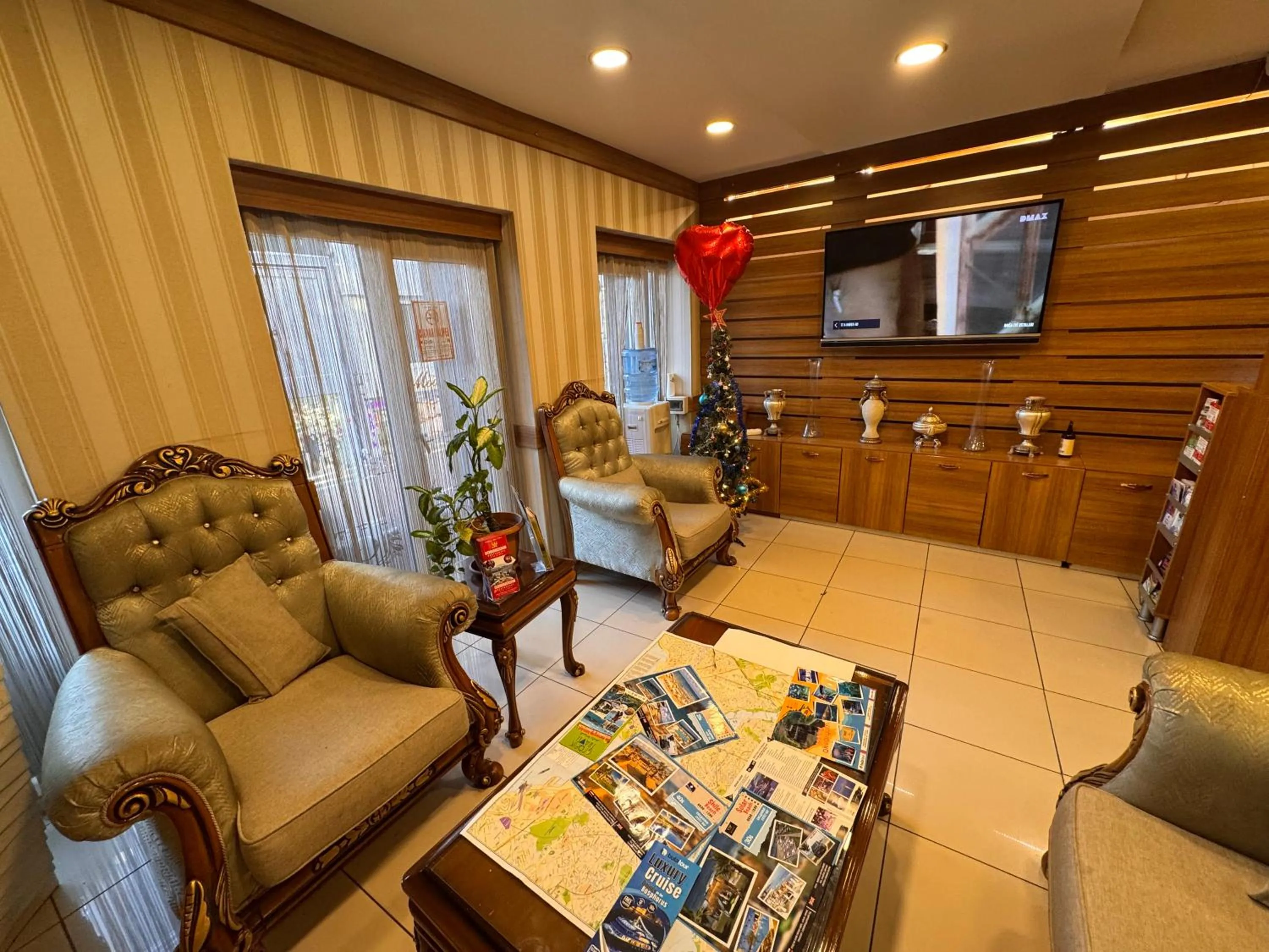 TV and multimedia in GROSS HOTEL