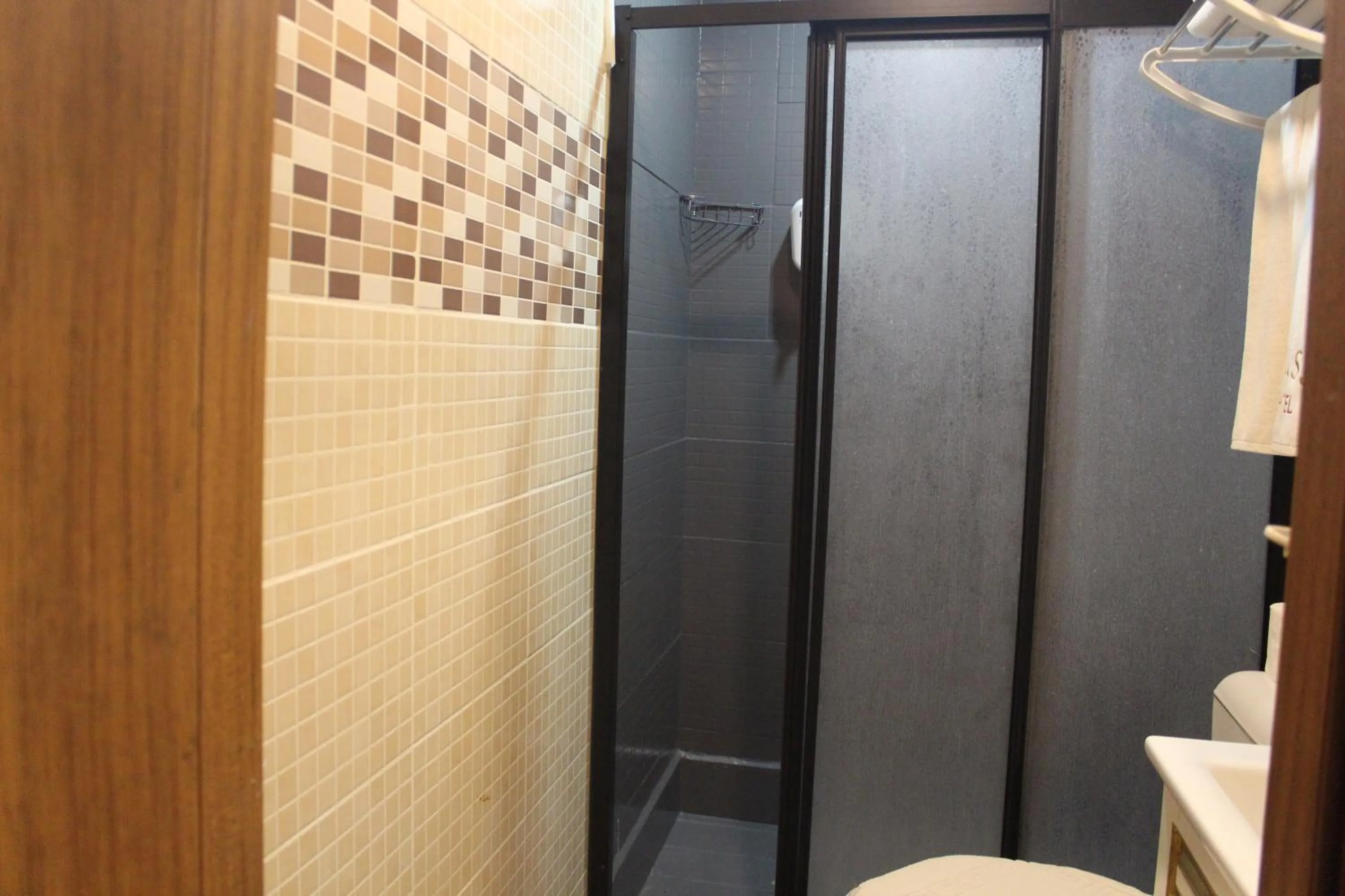 Shower in GROSS HOTEL