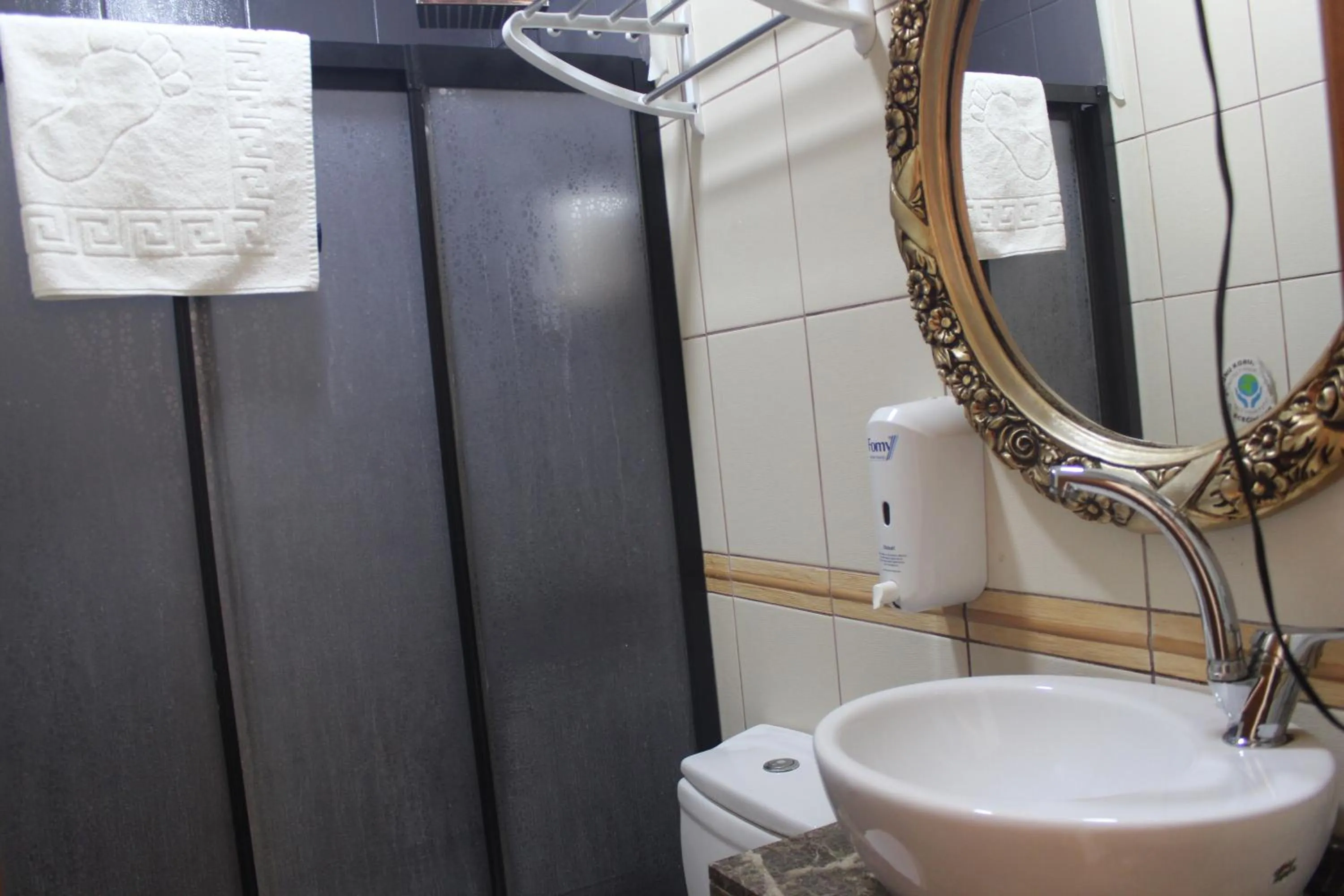 Shower in GROSS HOTEL