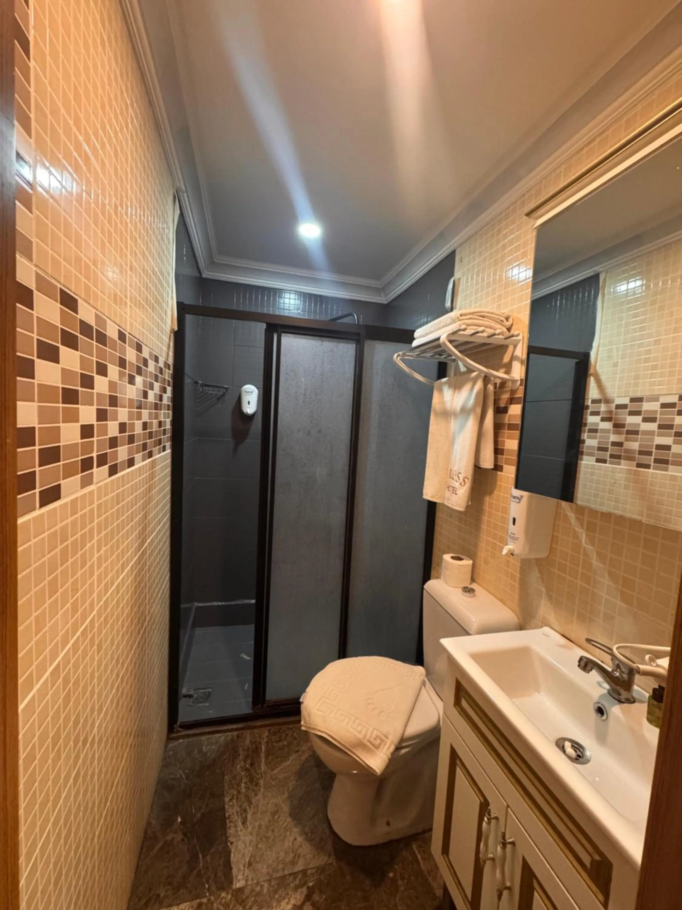 Shower in GROSS HOTEL