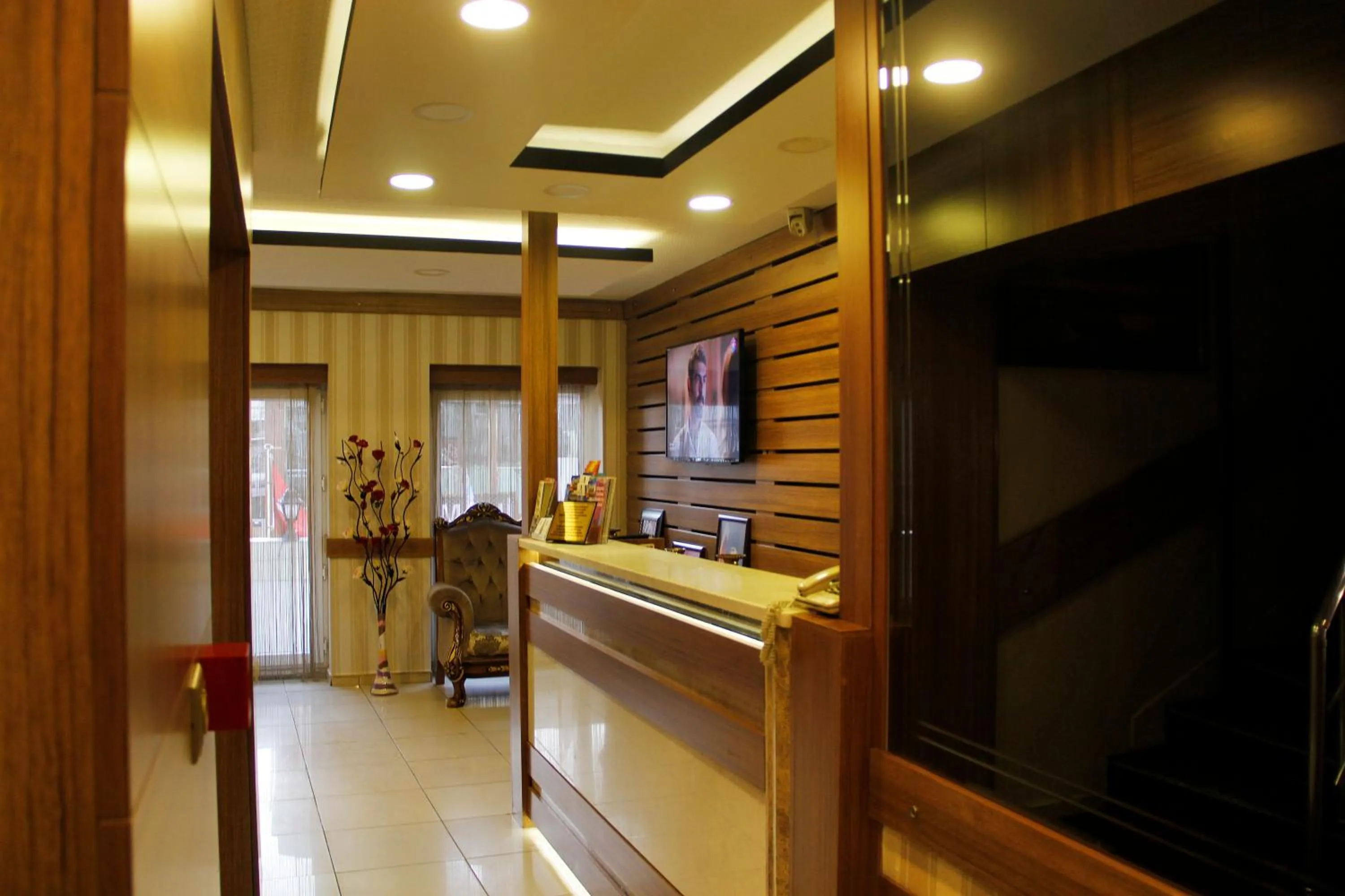 TV and multimedia in GROSS HOTEL