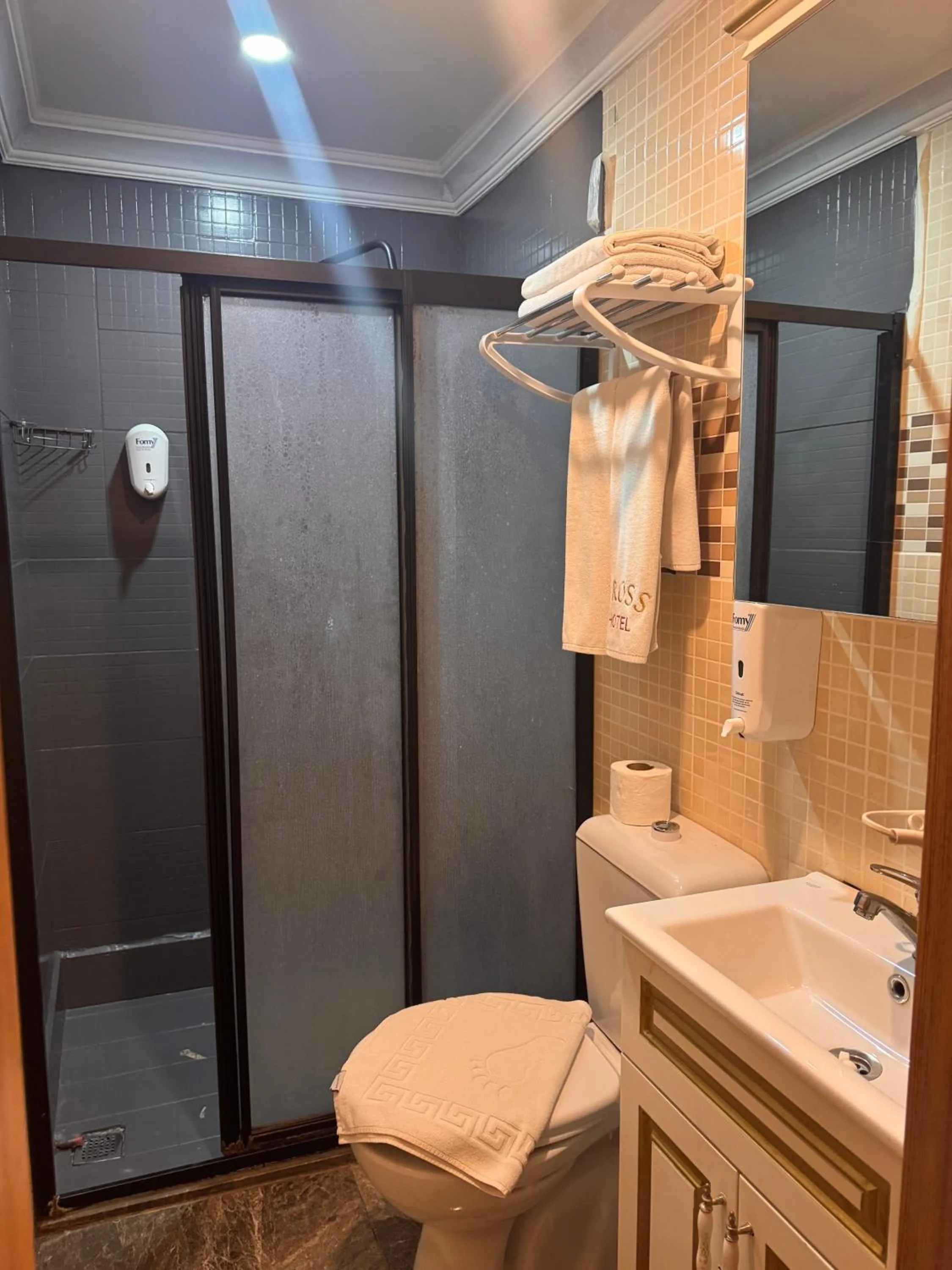 Shower in GROSS HOTEL