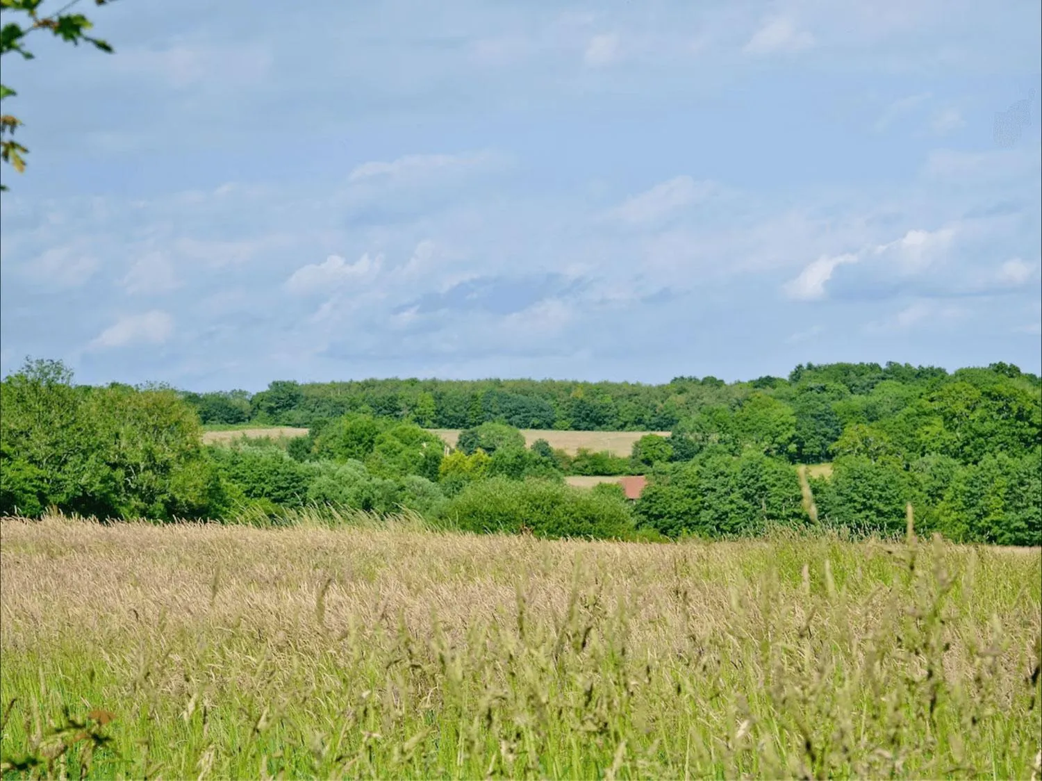Garden view in Trading Boundaries