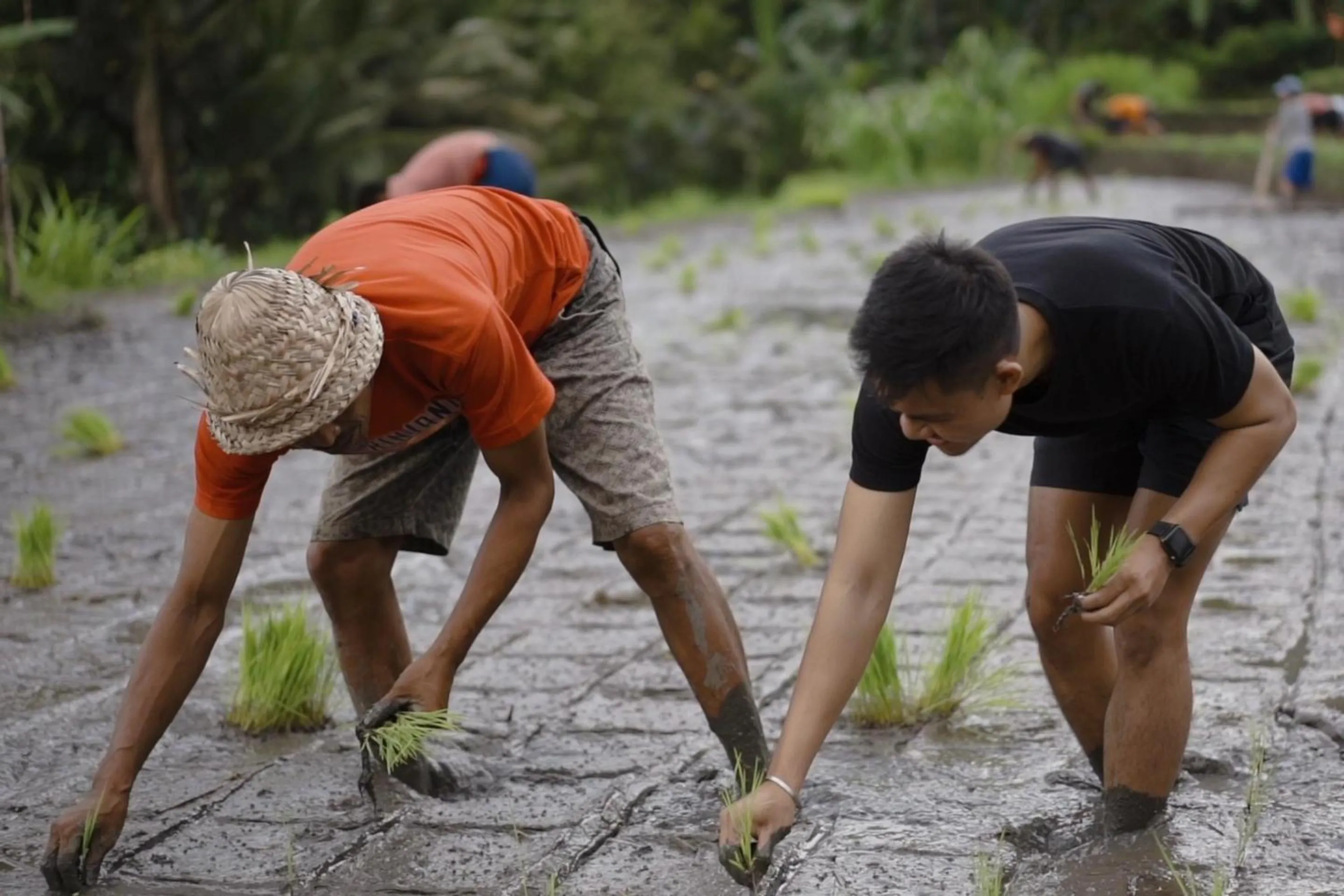 Activities in Kaura Bali