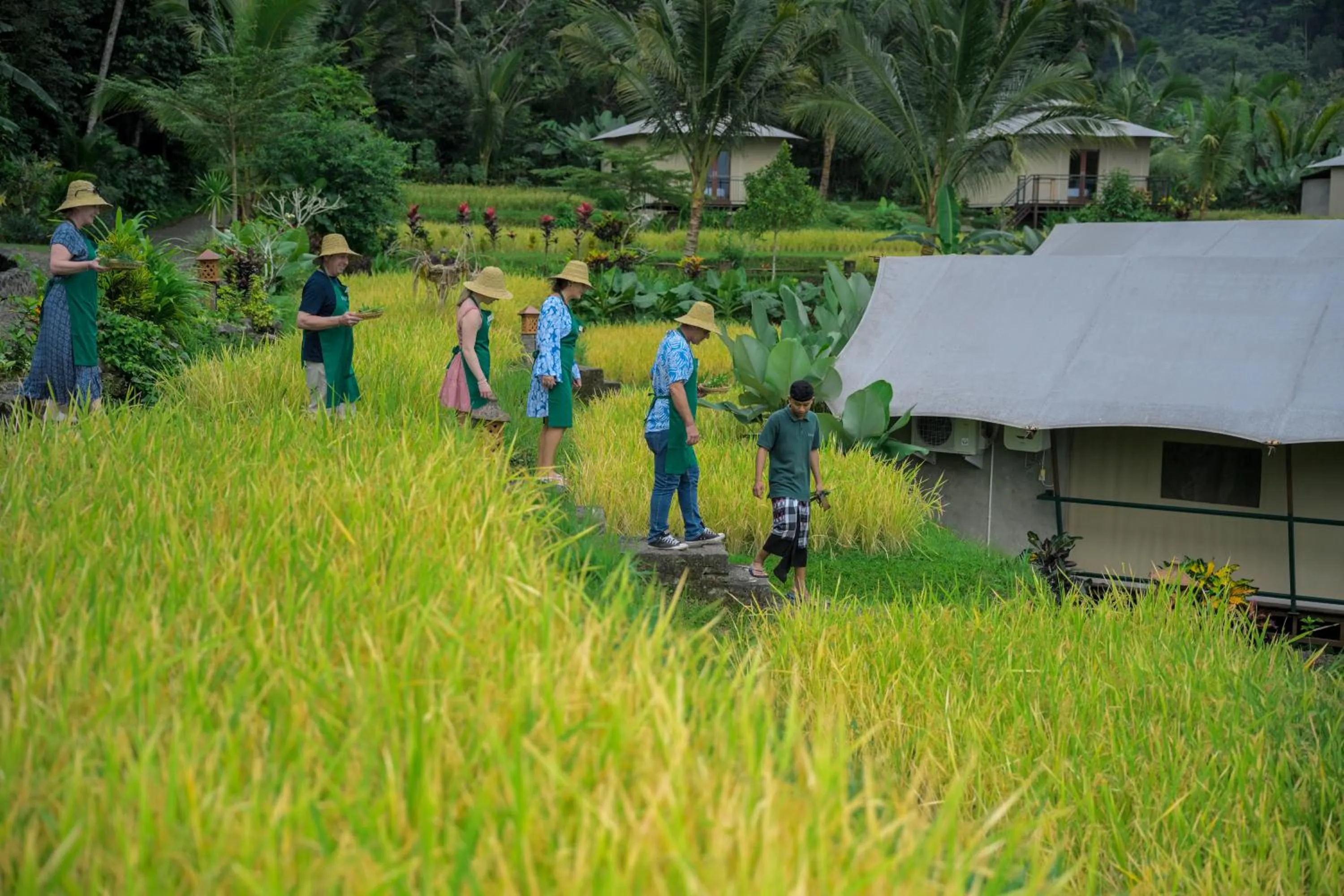 Activities in Kaura Bali