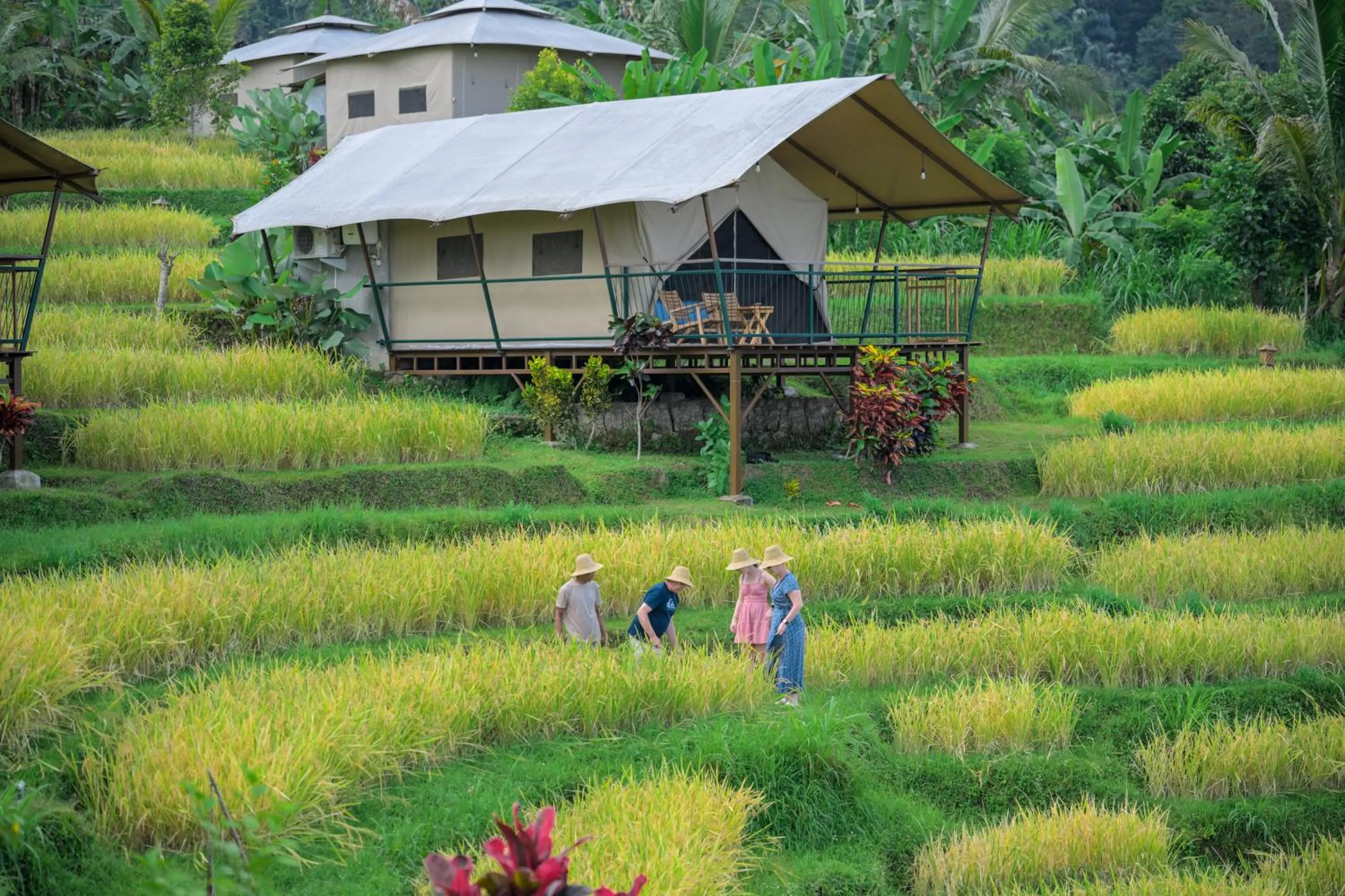 Activities in Kaura Bali