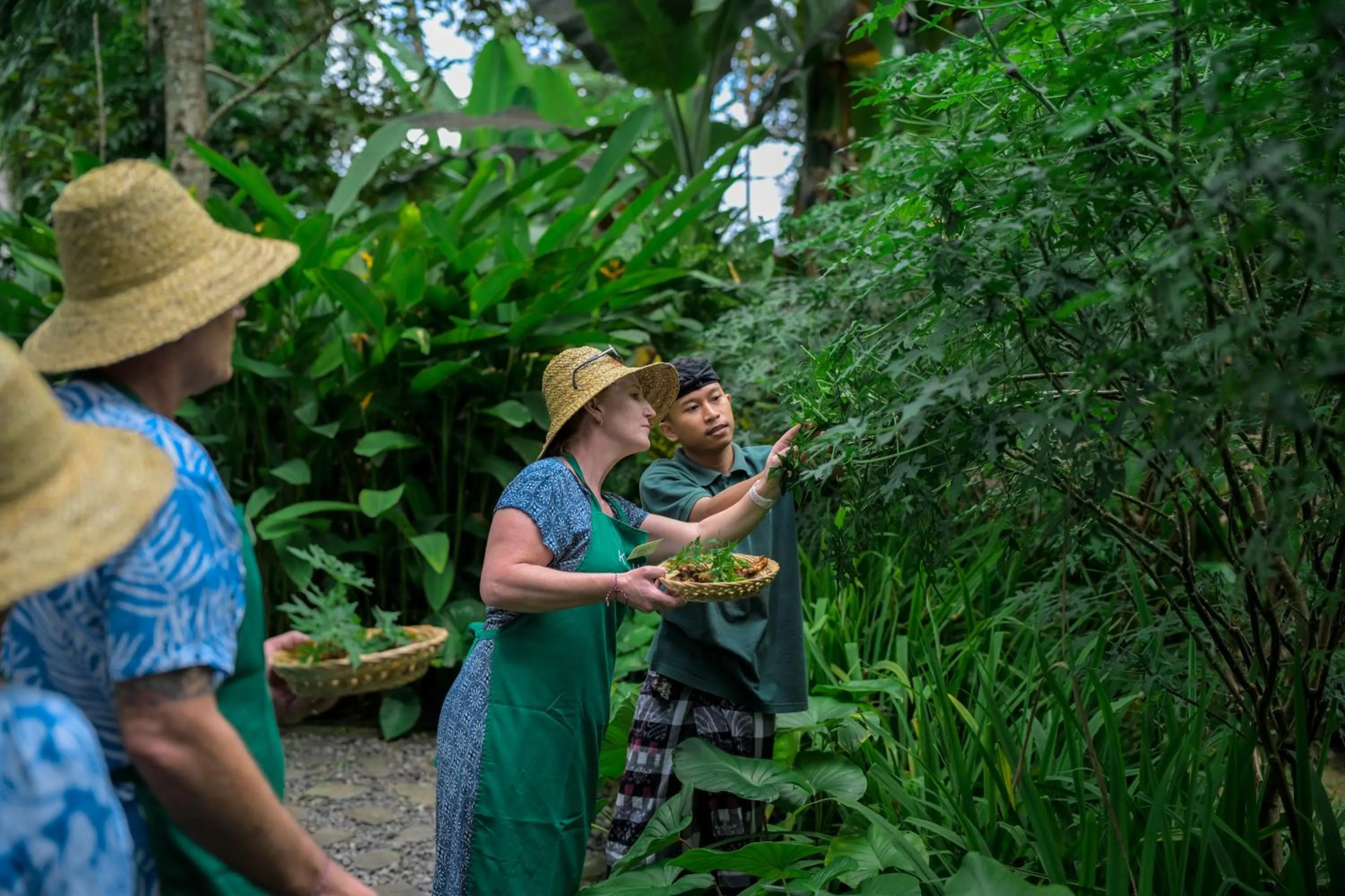 Activities in Kaura Bali