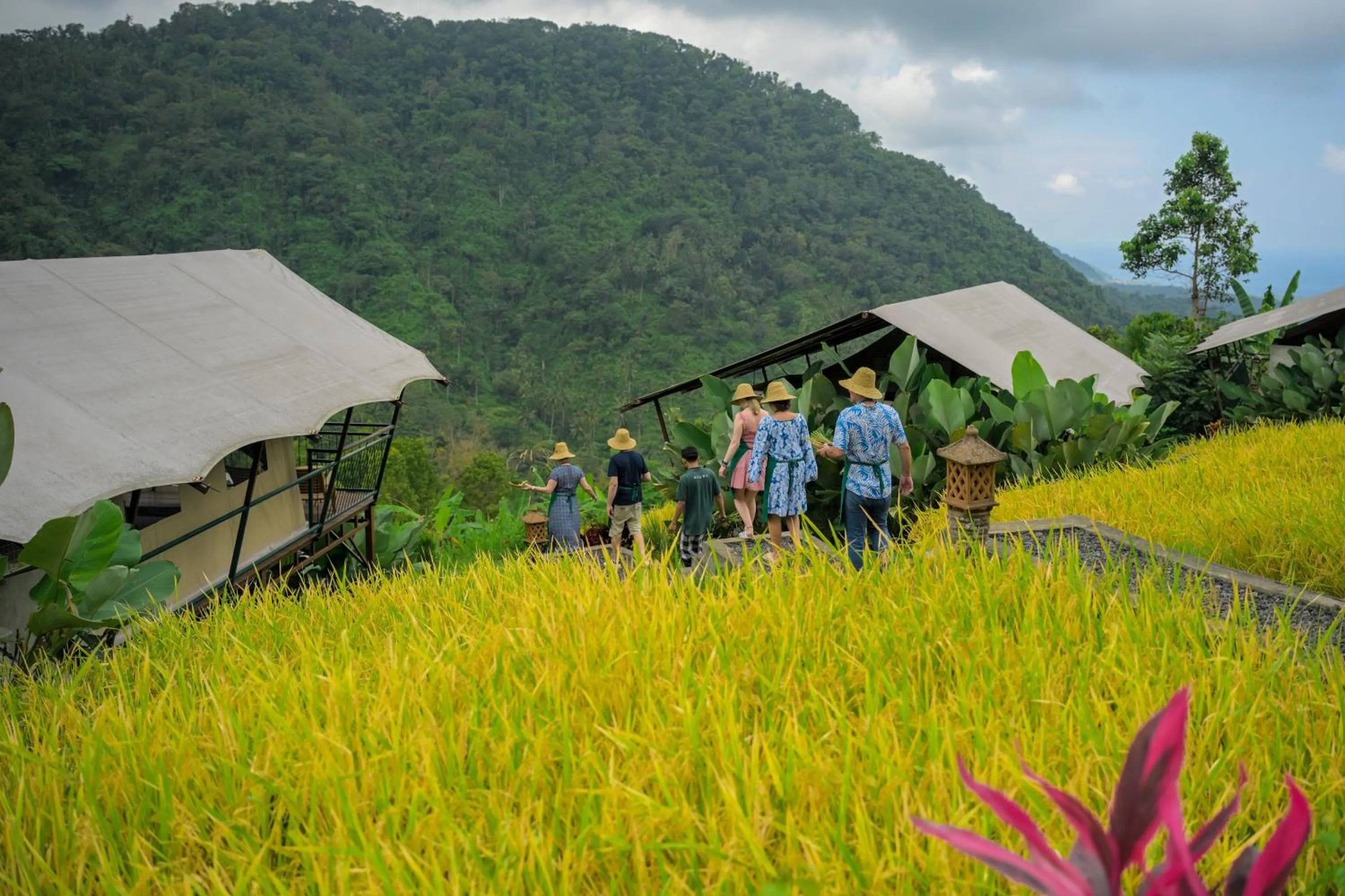 Activities in Kaura Bali