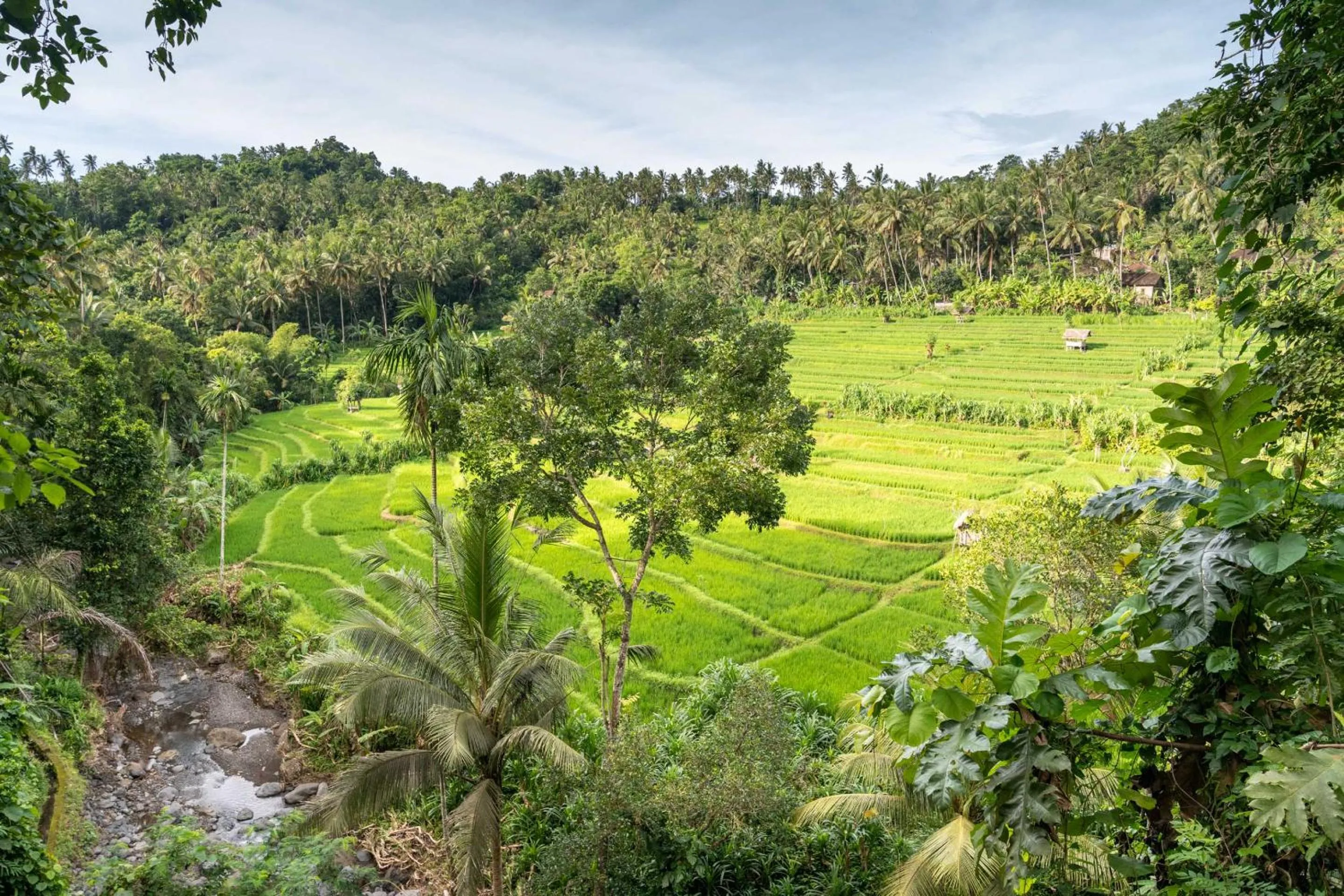Natural landscape in Kaura Bali