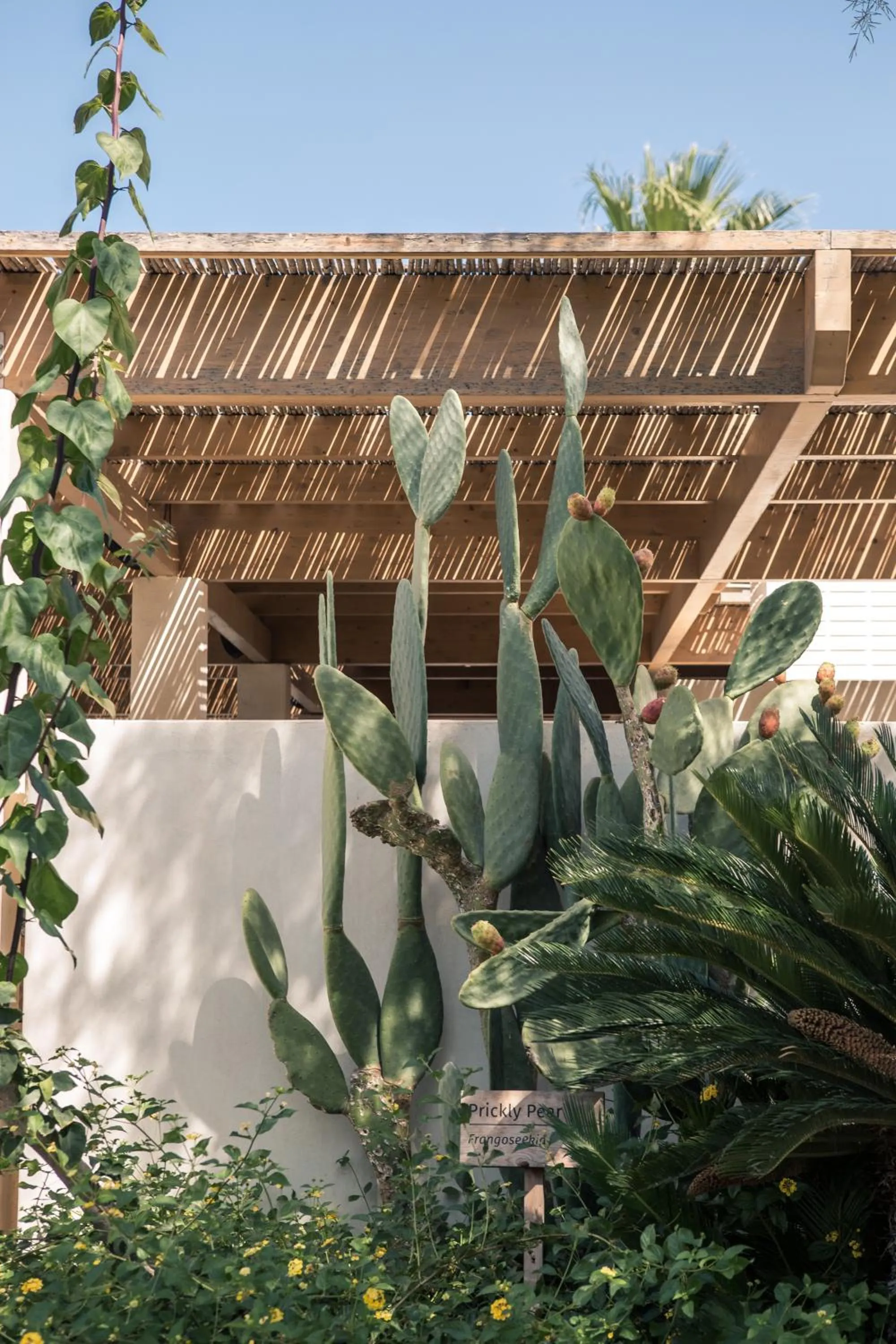 Phāea Cretan Malia, a Member of Design Hotels