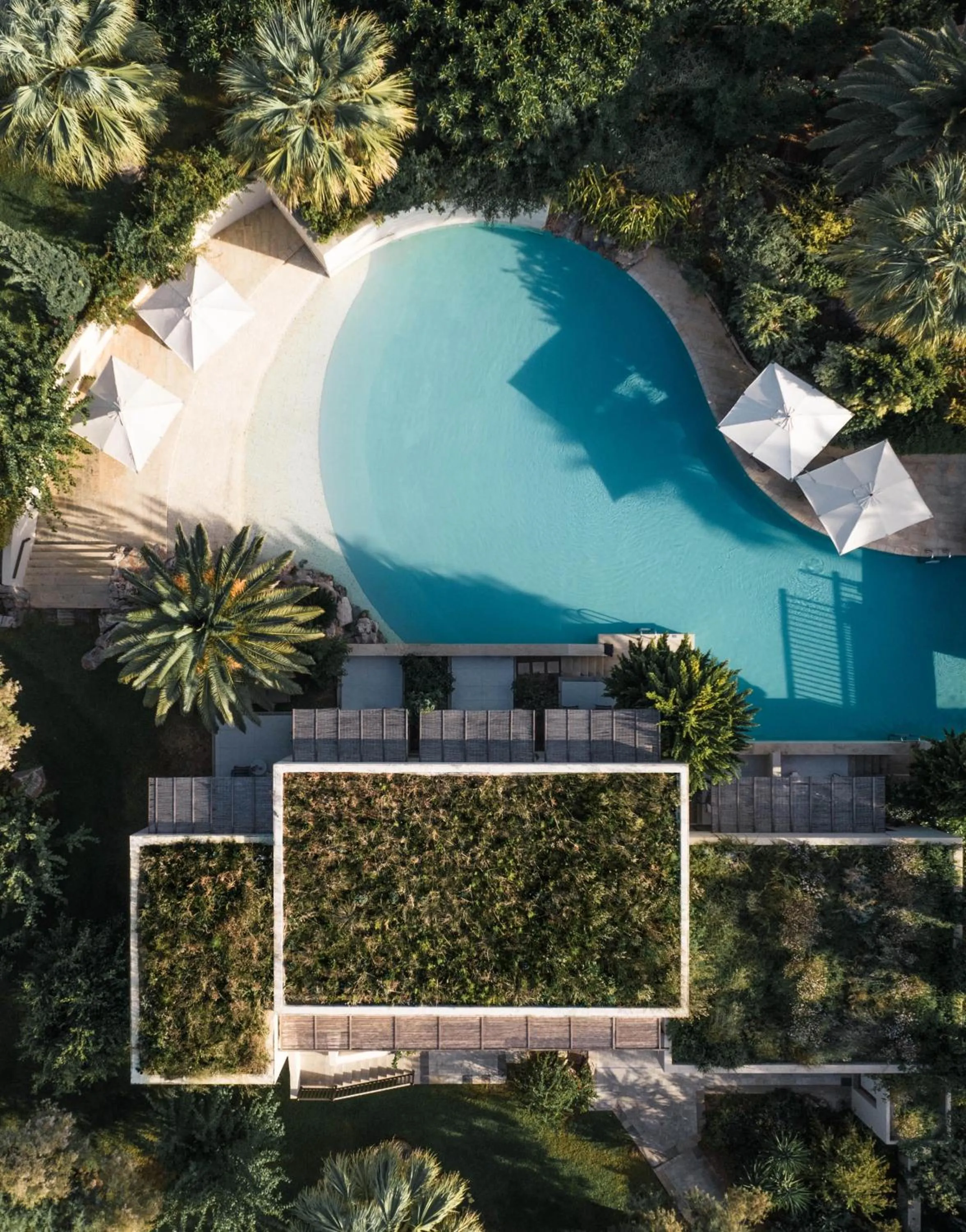 Garden in Phāea Cretan Malia, a Member of Design Hotels