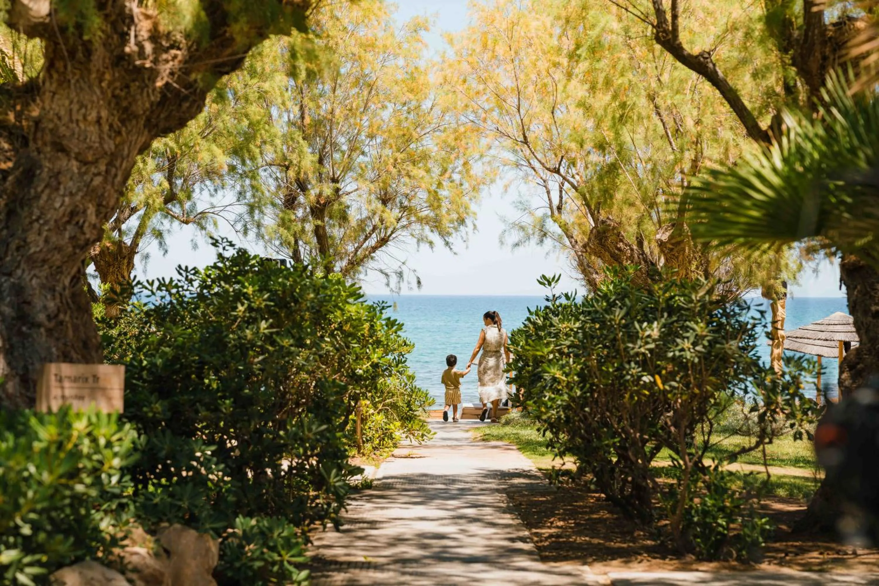 Beach in Phāea Cretan Malia, a Member of Design Hotels