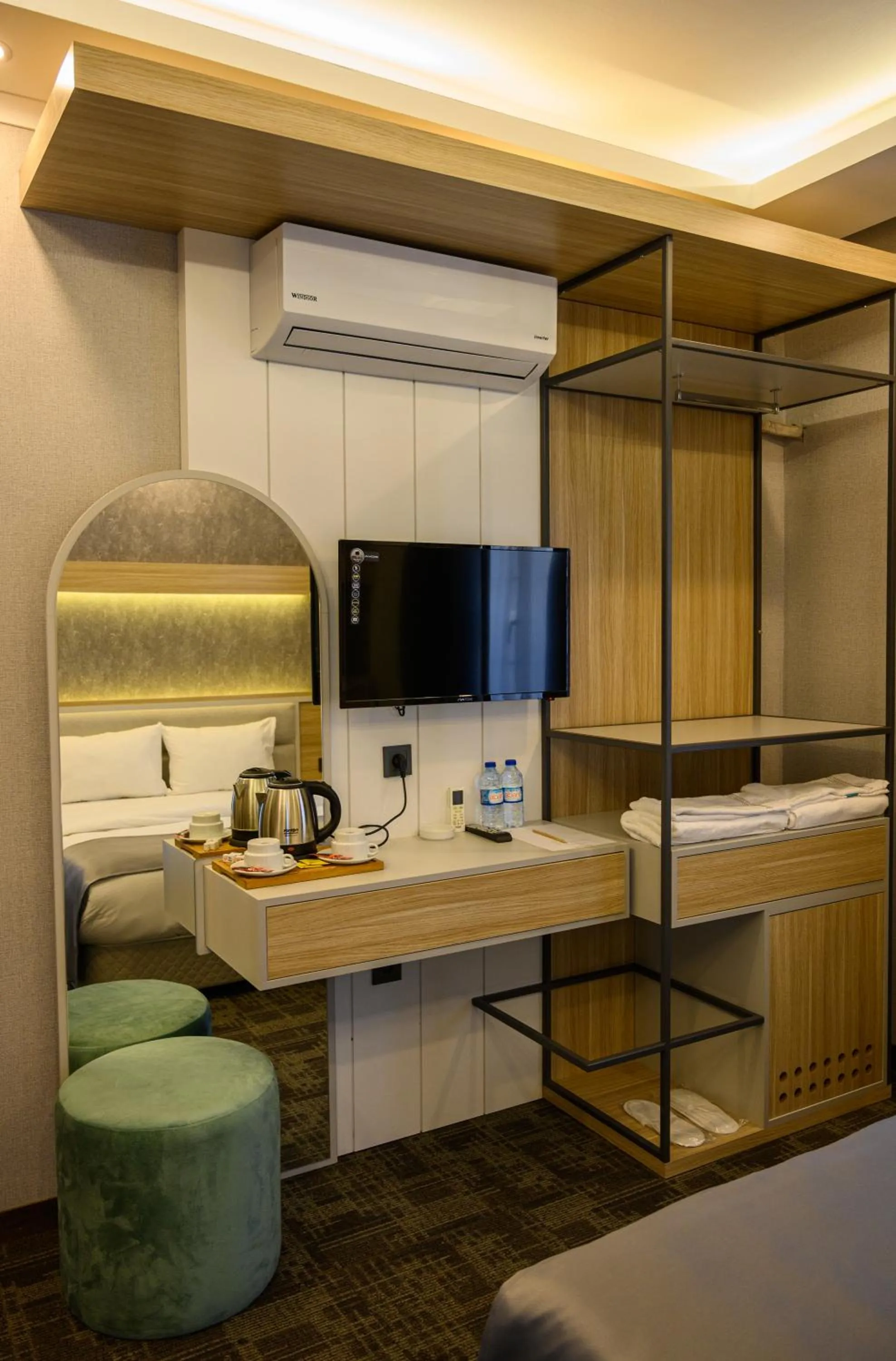 TV and multimedia in DS REGULUS