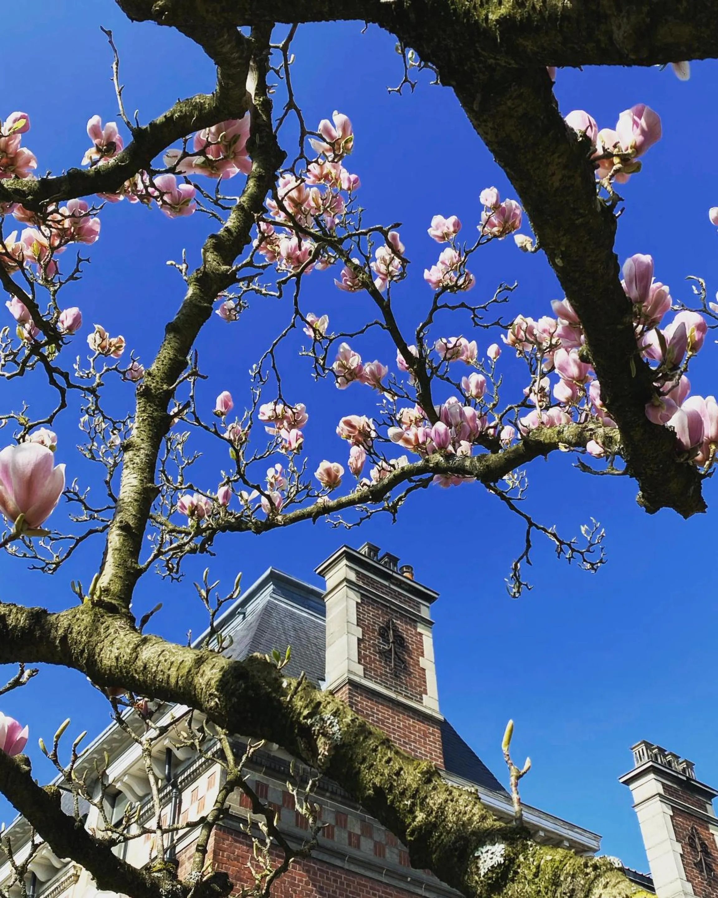 Other in La Villa Barbieux