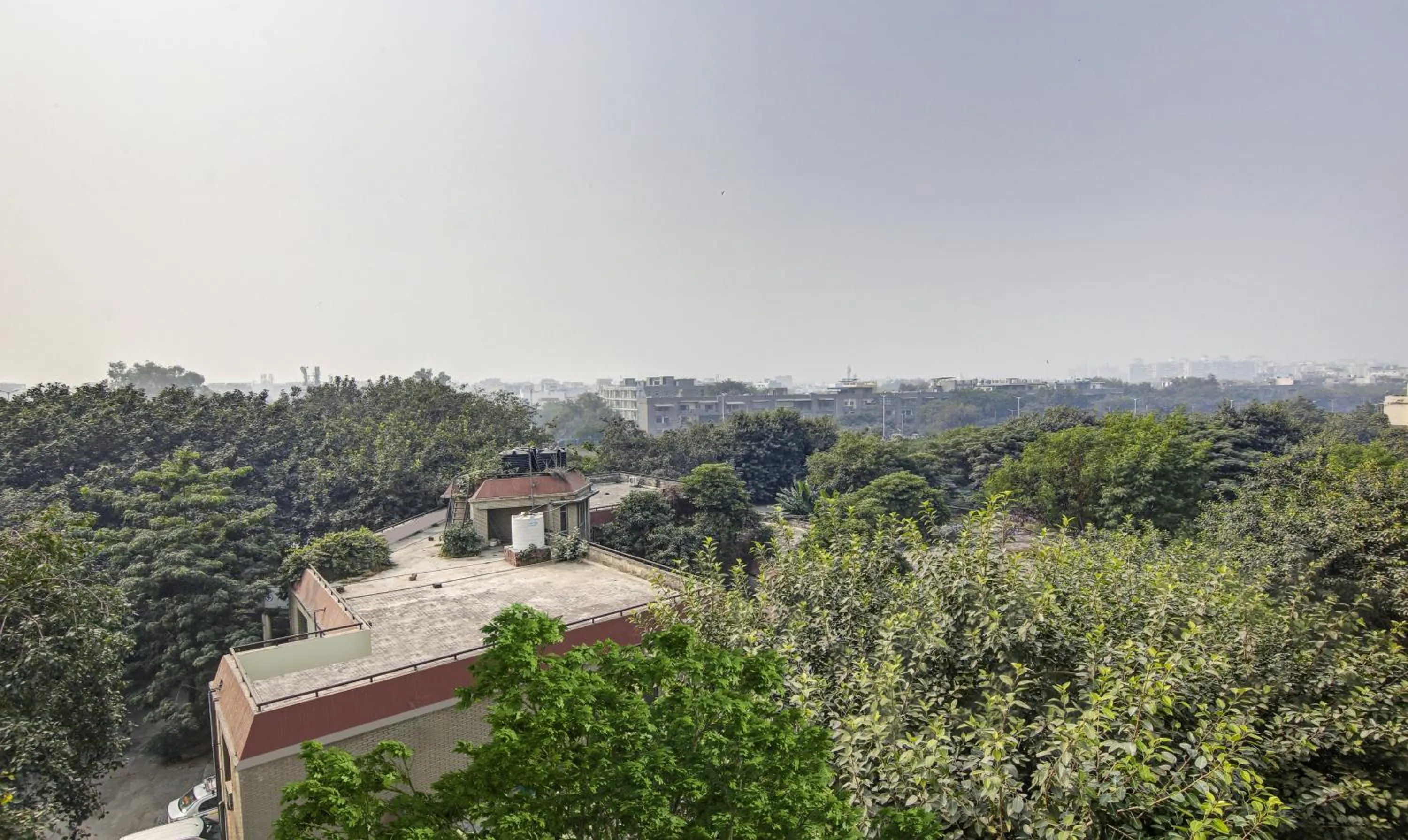 Day in Treebo Prime Elight