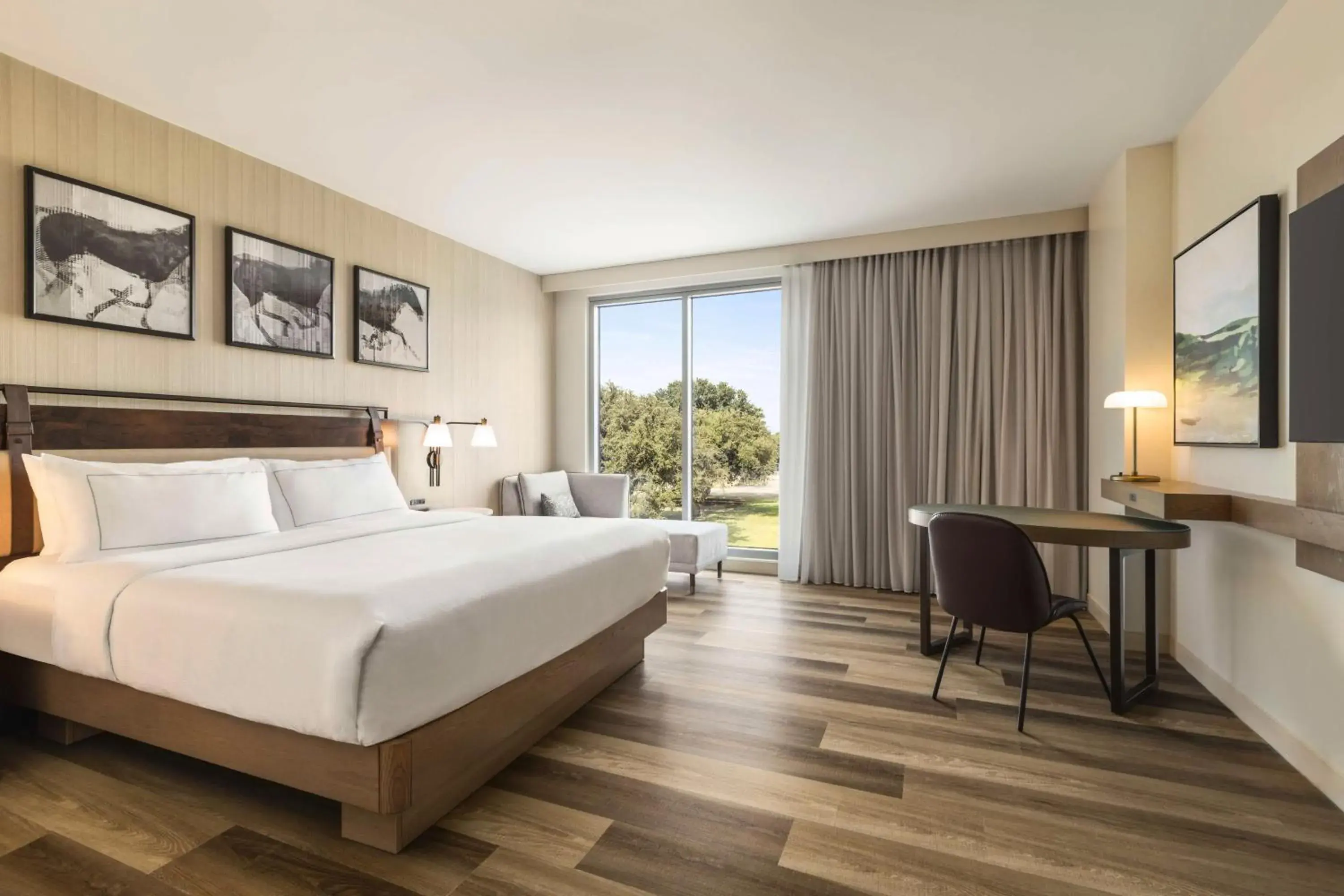 King Room - Hearing Accessible in Doubletree By Hilton Abilene Downtown Convention Center King Room - Hearing Accessible in Doubletree By Hilton Abilene Downtown Convention Center