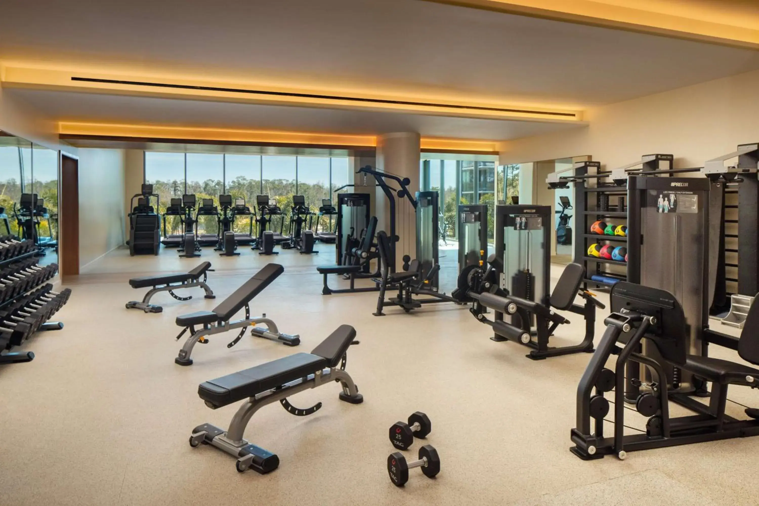 Fitness centre/facilities in Conrad Orlando Fitness centre/facilities in Conrad Orlando