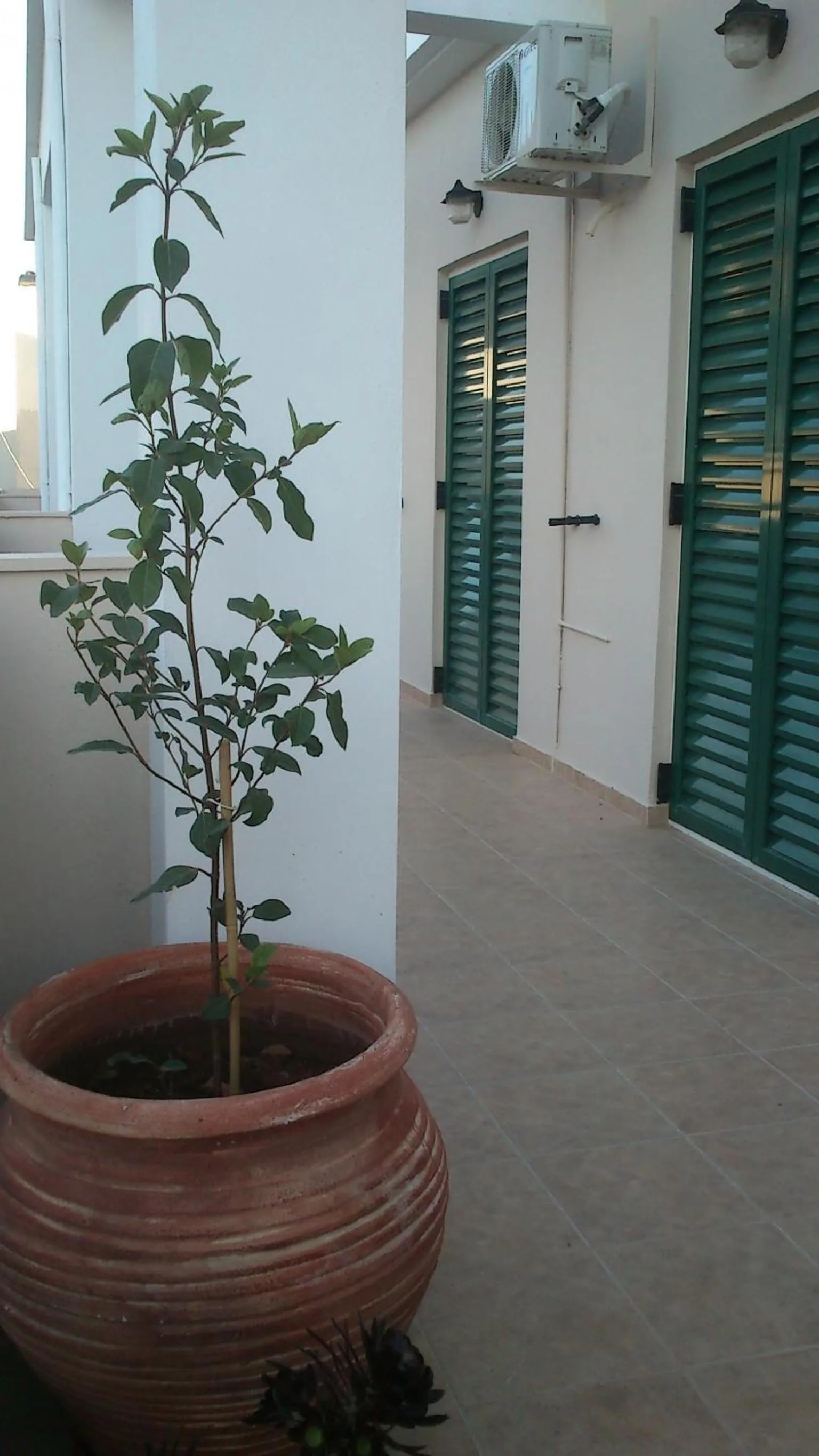 Balcony/Terrace in Mirabello Hotel