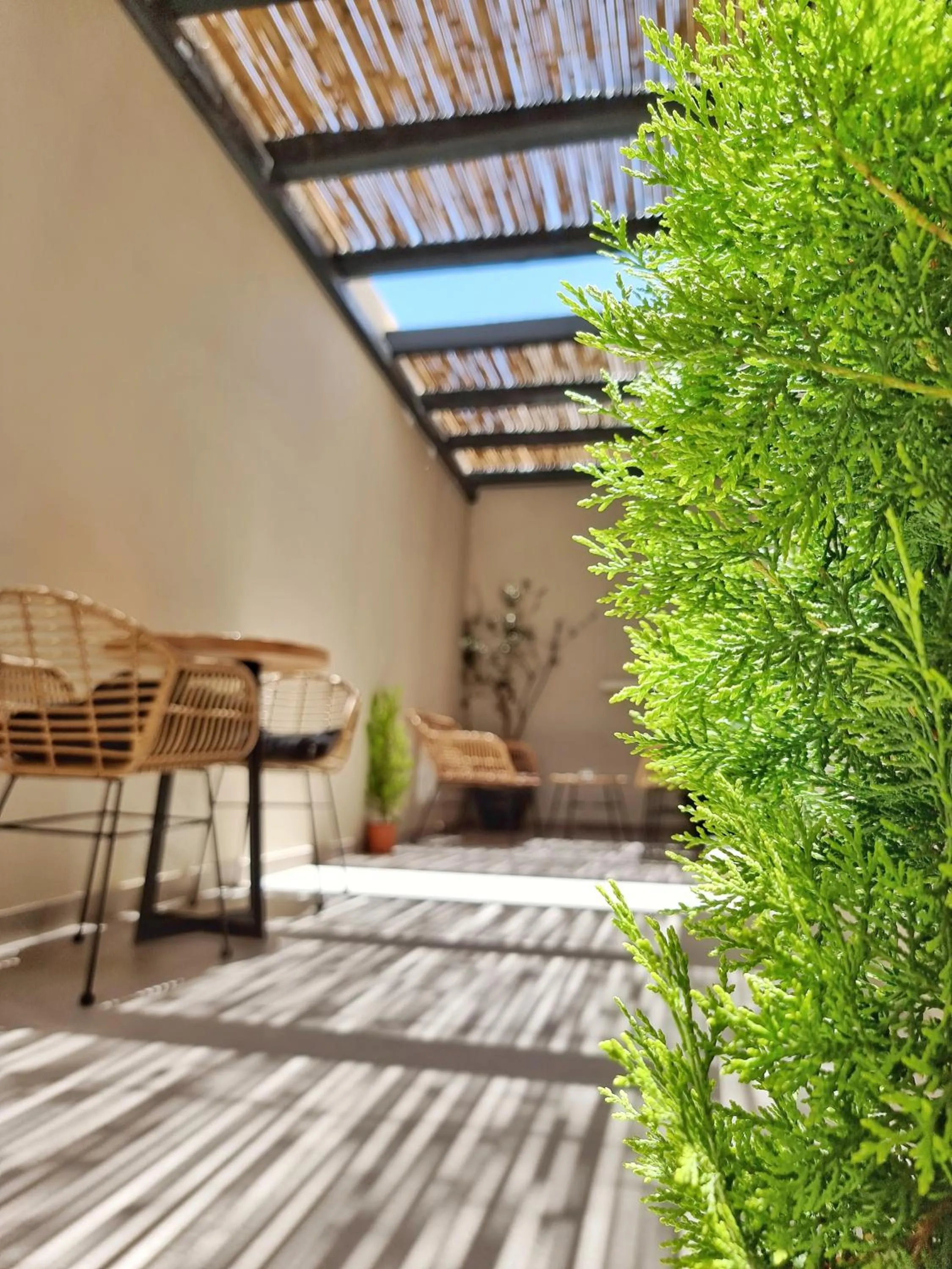 Patio in San Giorgio