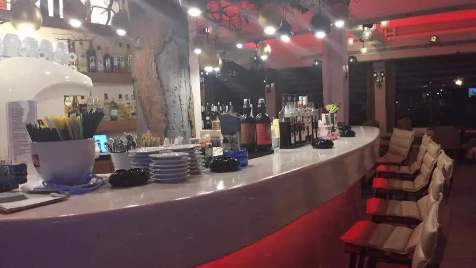 Lounge or bar in Villa Manos Hotel Lounge or bar in Villa Manos Hotel