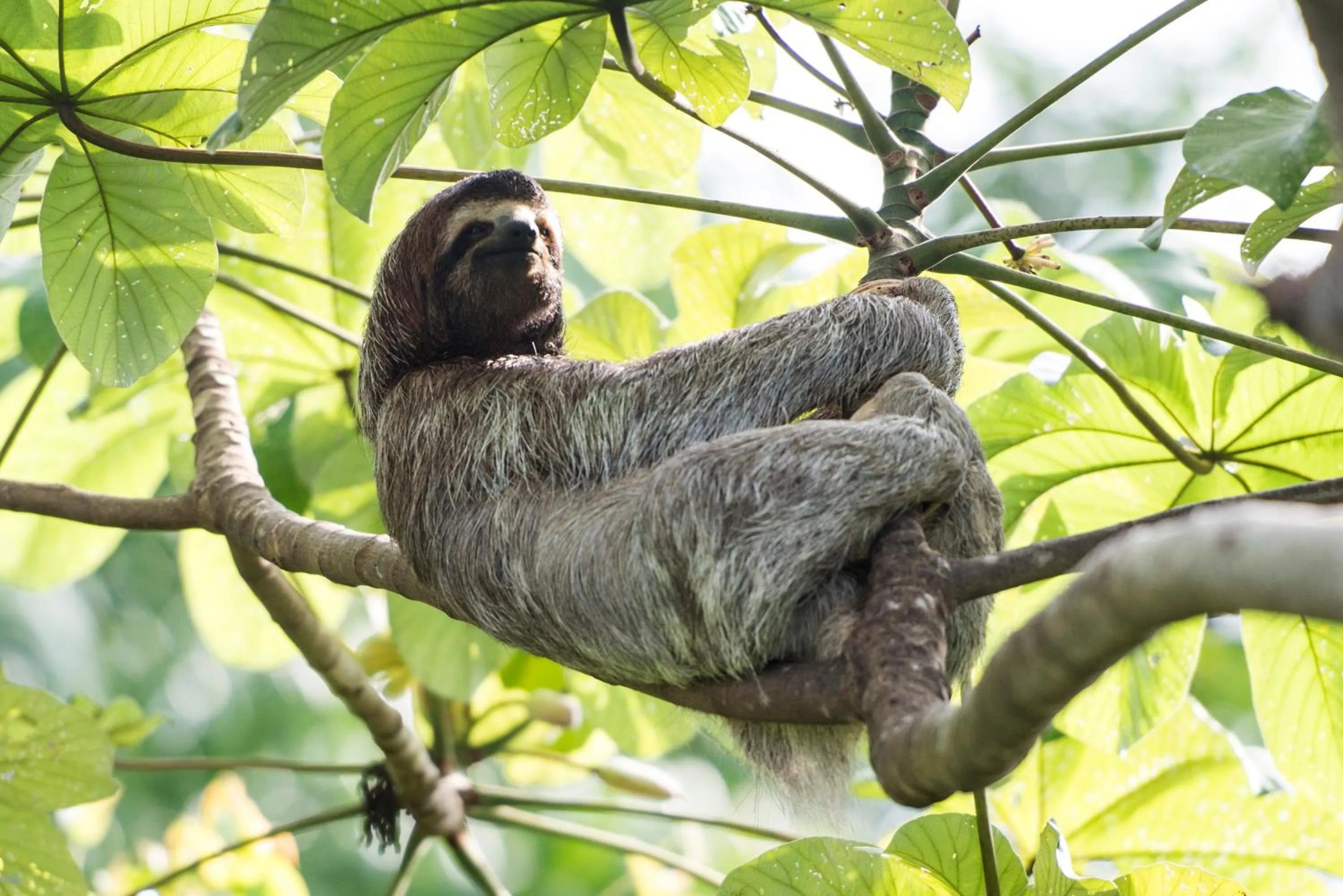 Natural landscape in Corcovado Wilderness Lodge by SCP
