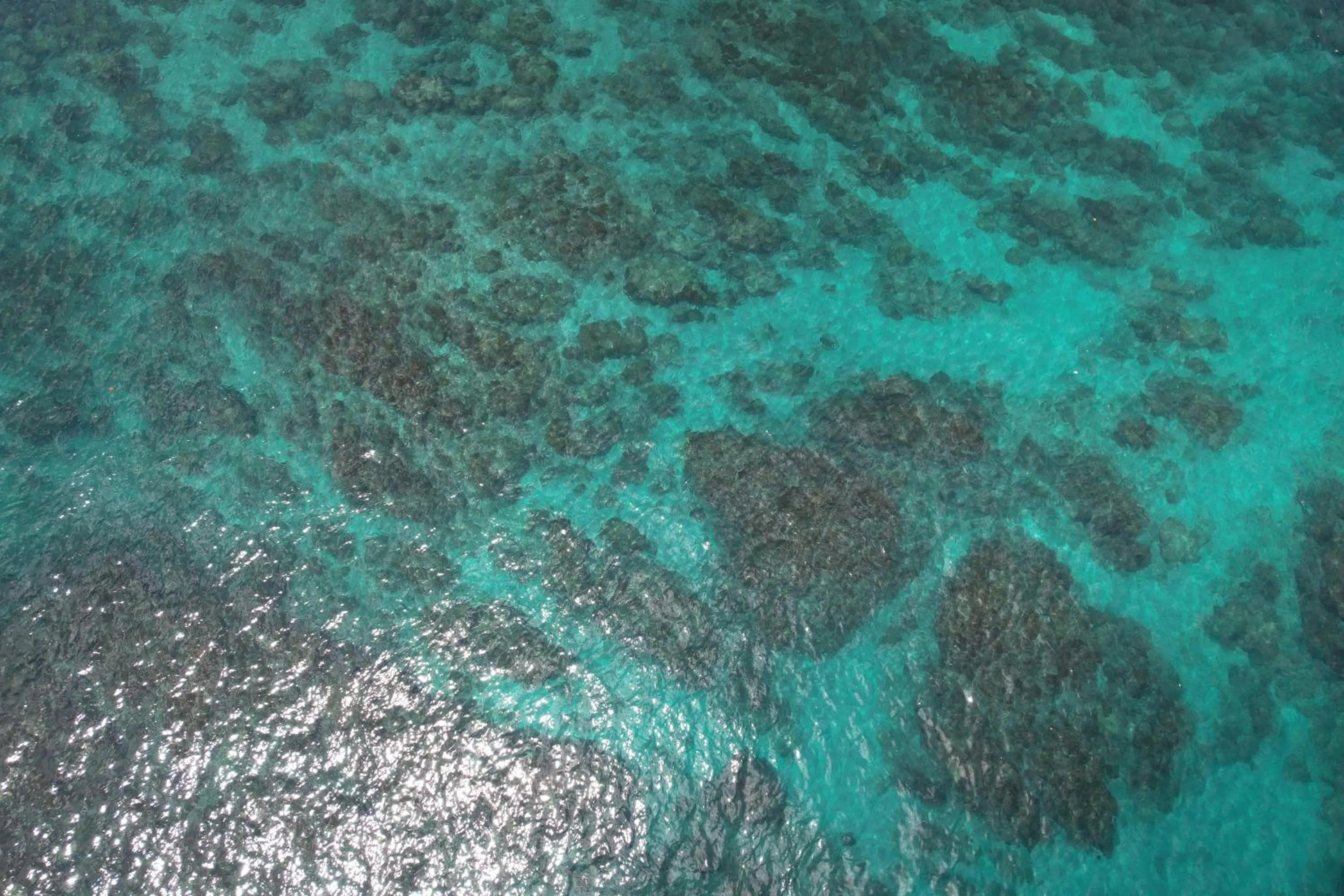 Sea view in Corcovado Wilderness Lodge by SCP