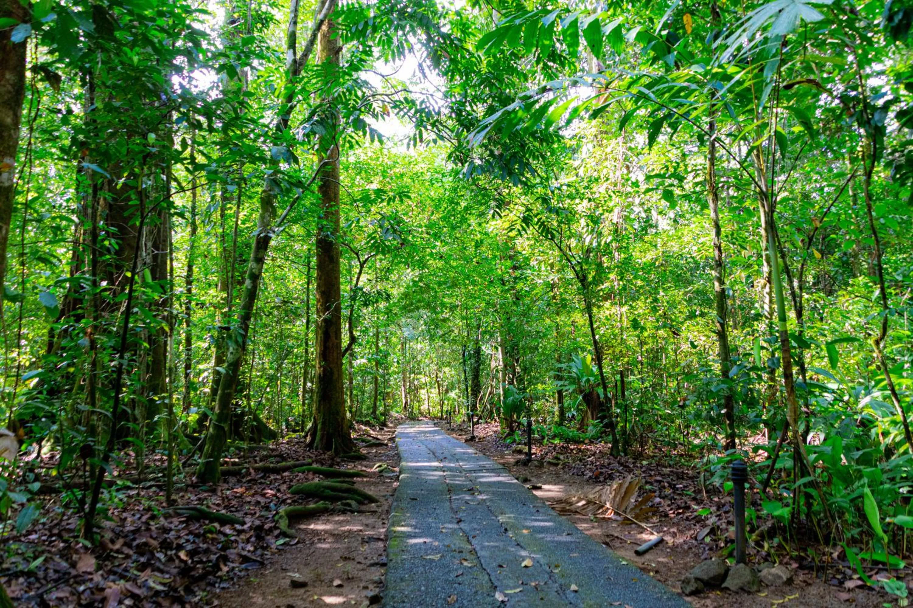 Garden view in Corcovado Wilderness Lodge by SCP