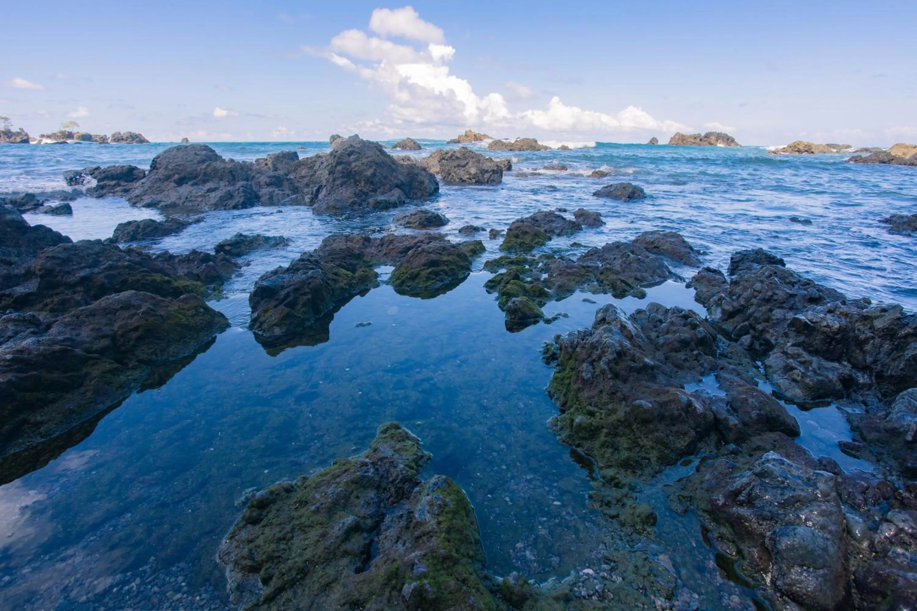 Natural landscape in Corcovado Wilderness Lodge by SCP