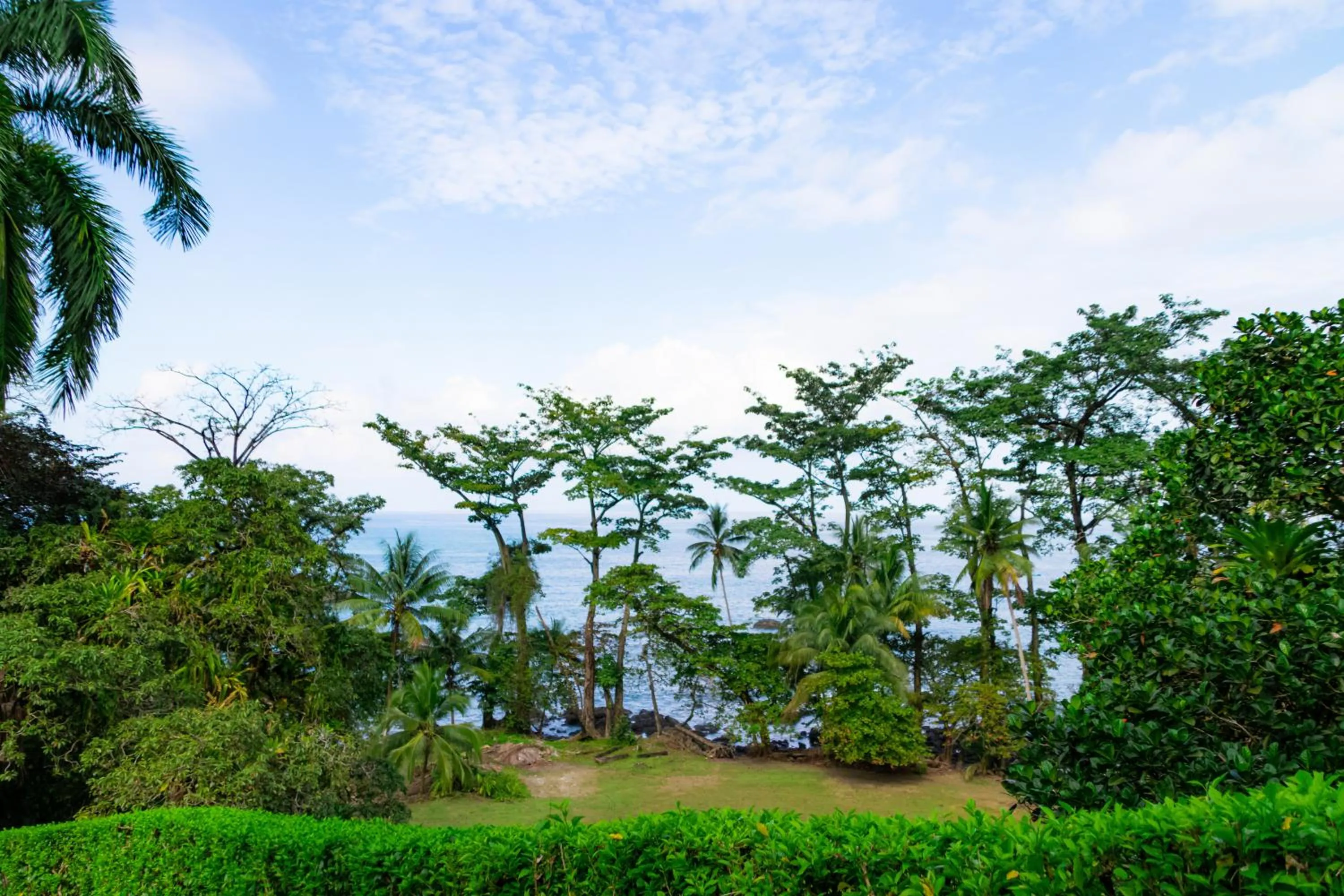 Garden view in Corcovado Wilderness Lodge by SCP