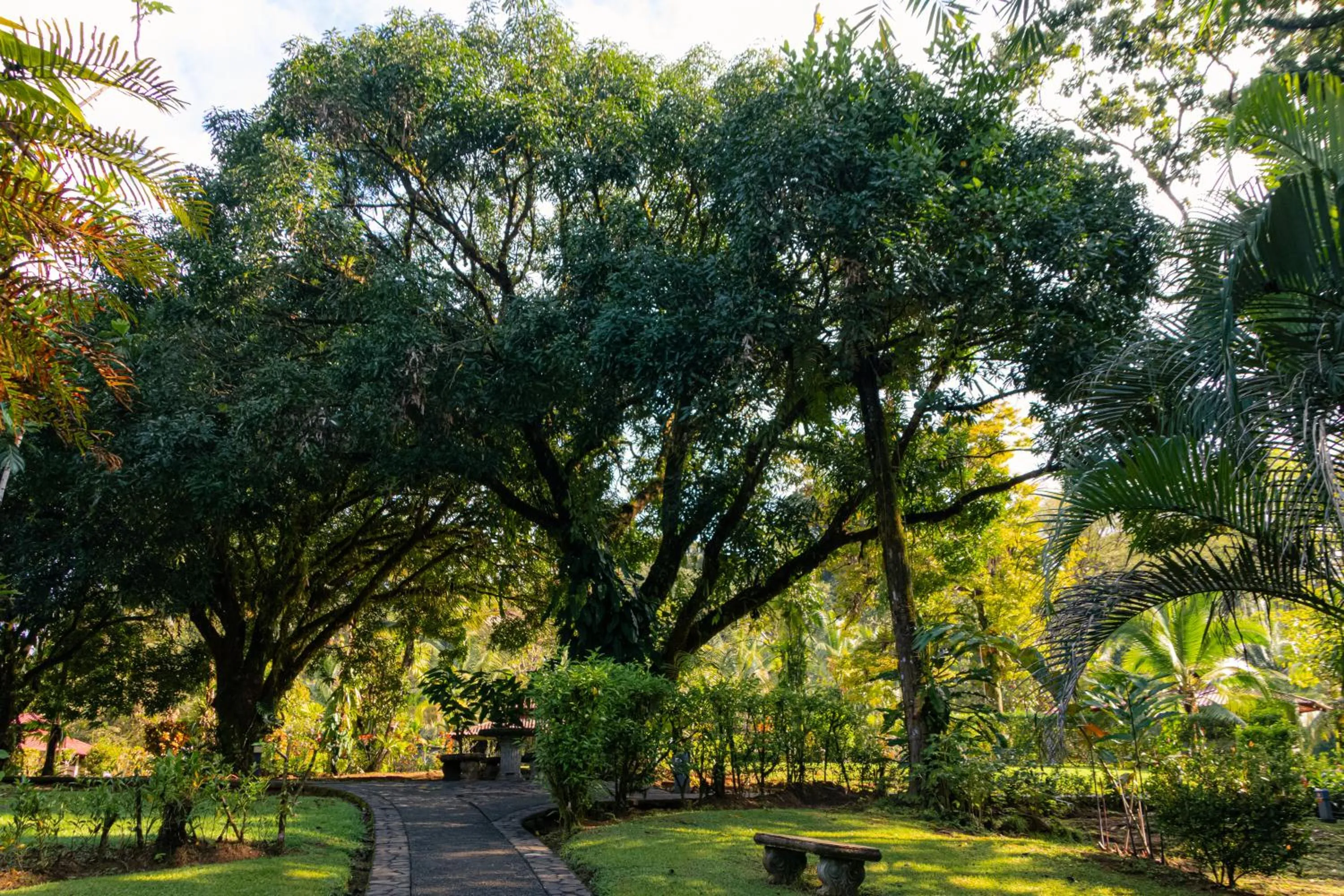Natural landscape in Corcovado Wilderness Lodge by SCP