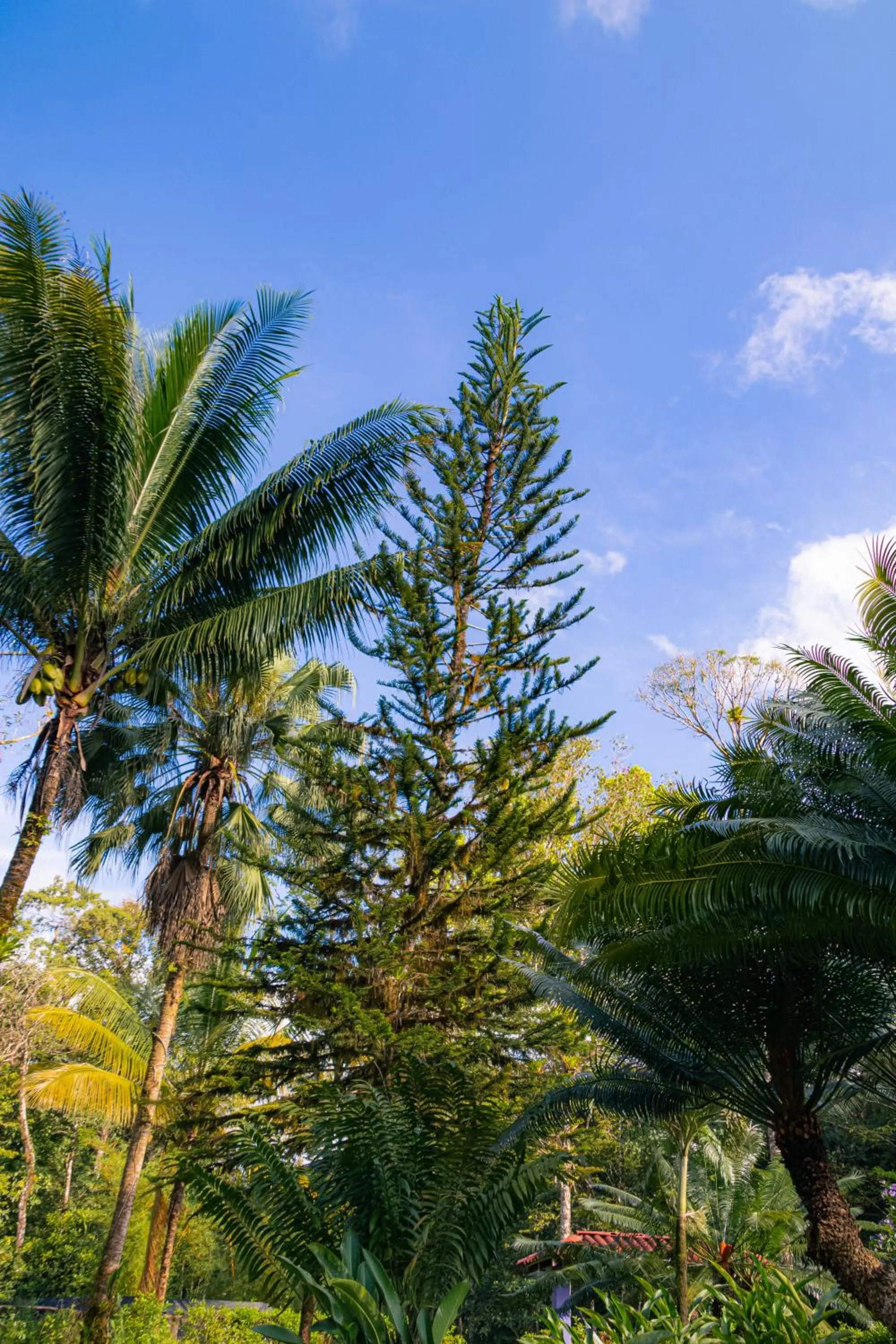 Natural landscape in Corcovado Wilderness Lodge by SCP