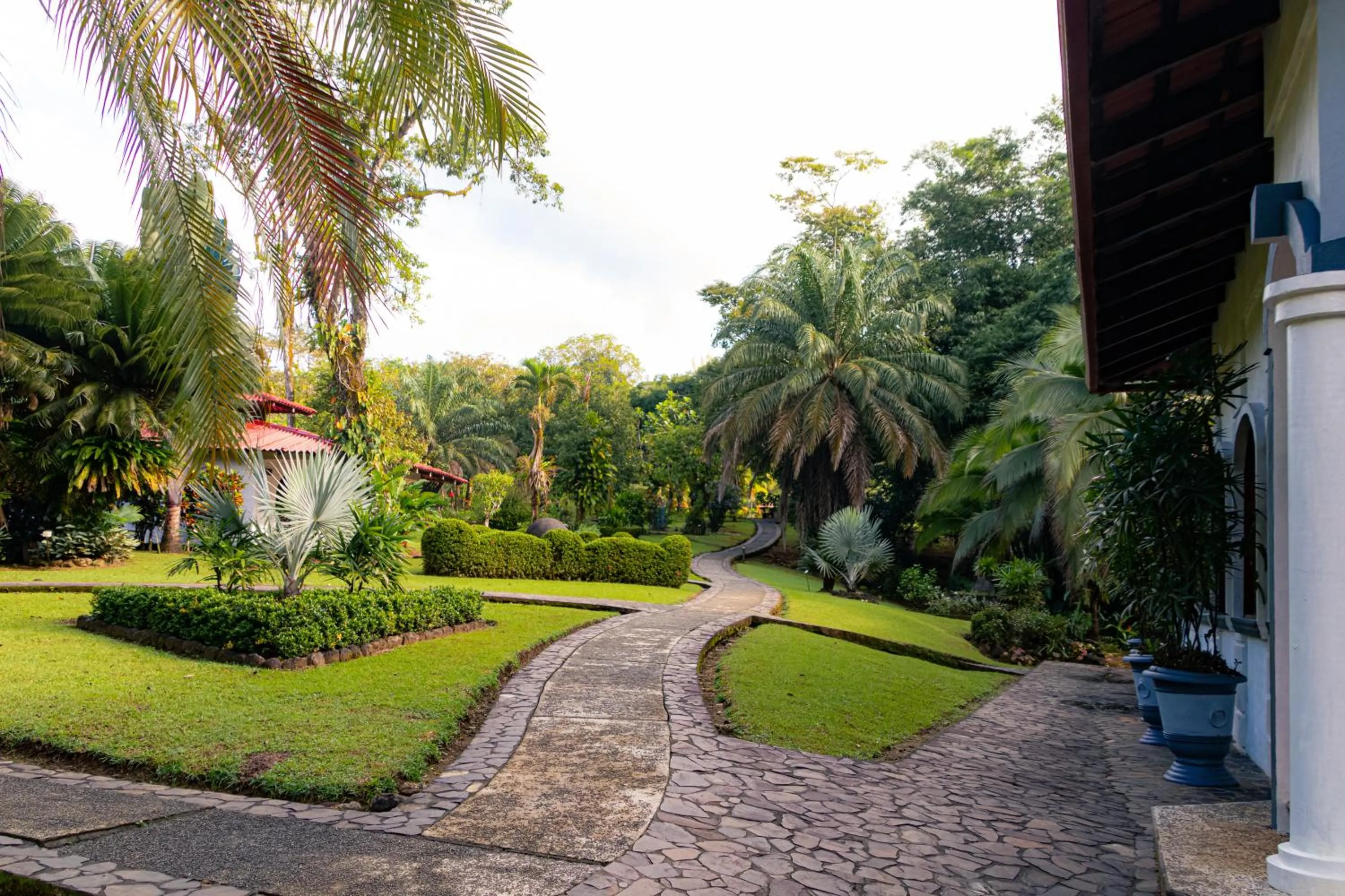 Garden view in Corcovado Wilderness Lodge by SCP