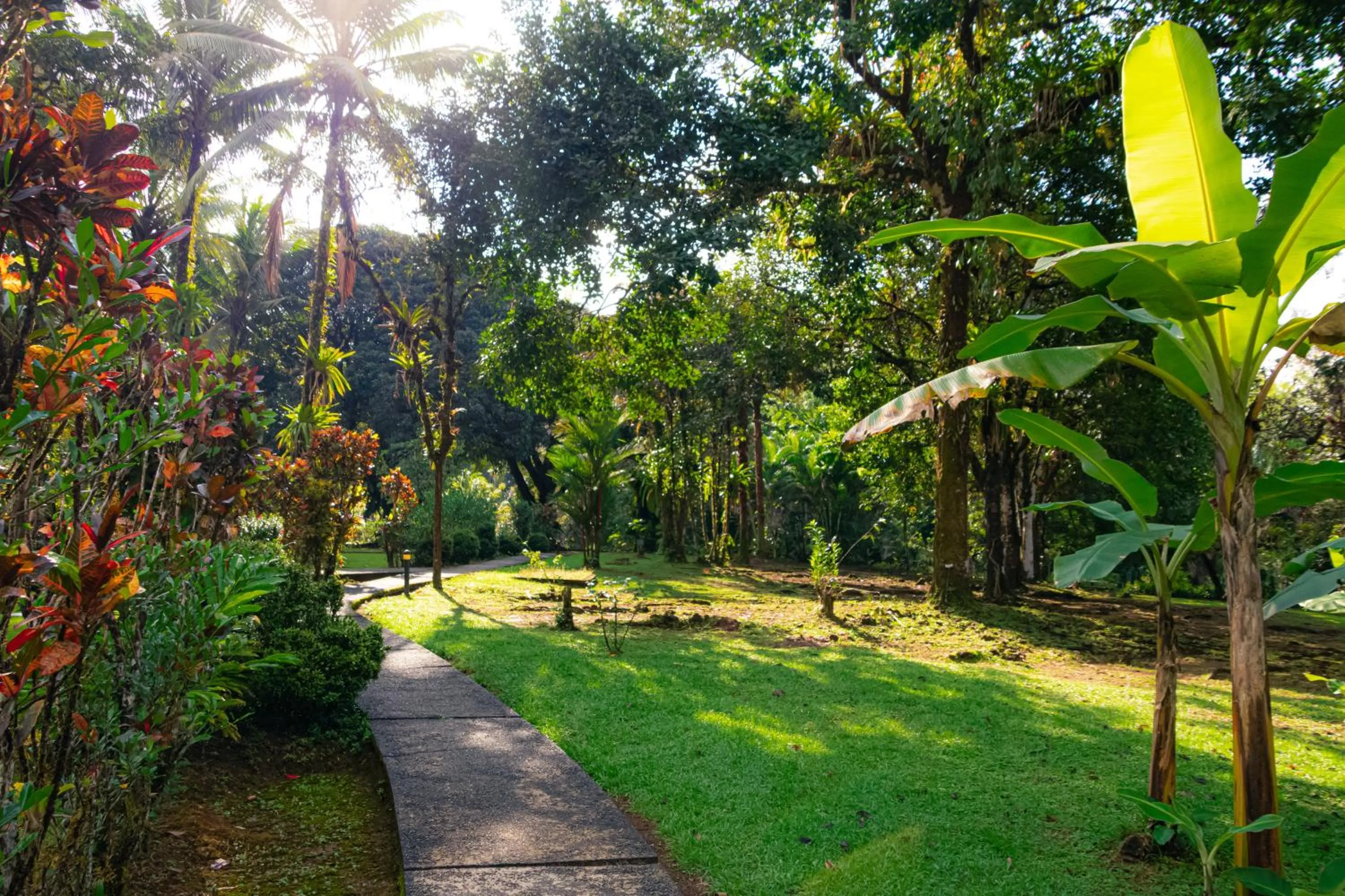Garden in Corcovado Wilderness Lodge by SCP